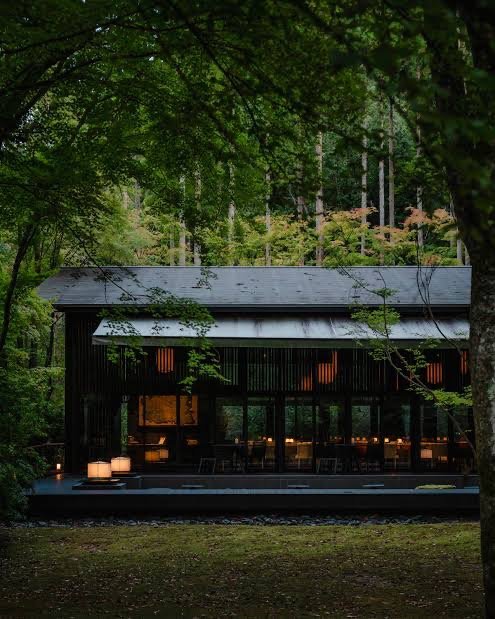 A modern cabin with large glass windows surrounded by lush green trees in a forest setting.