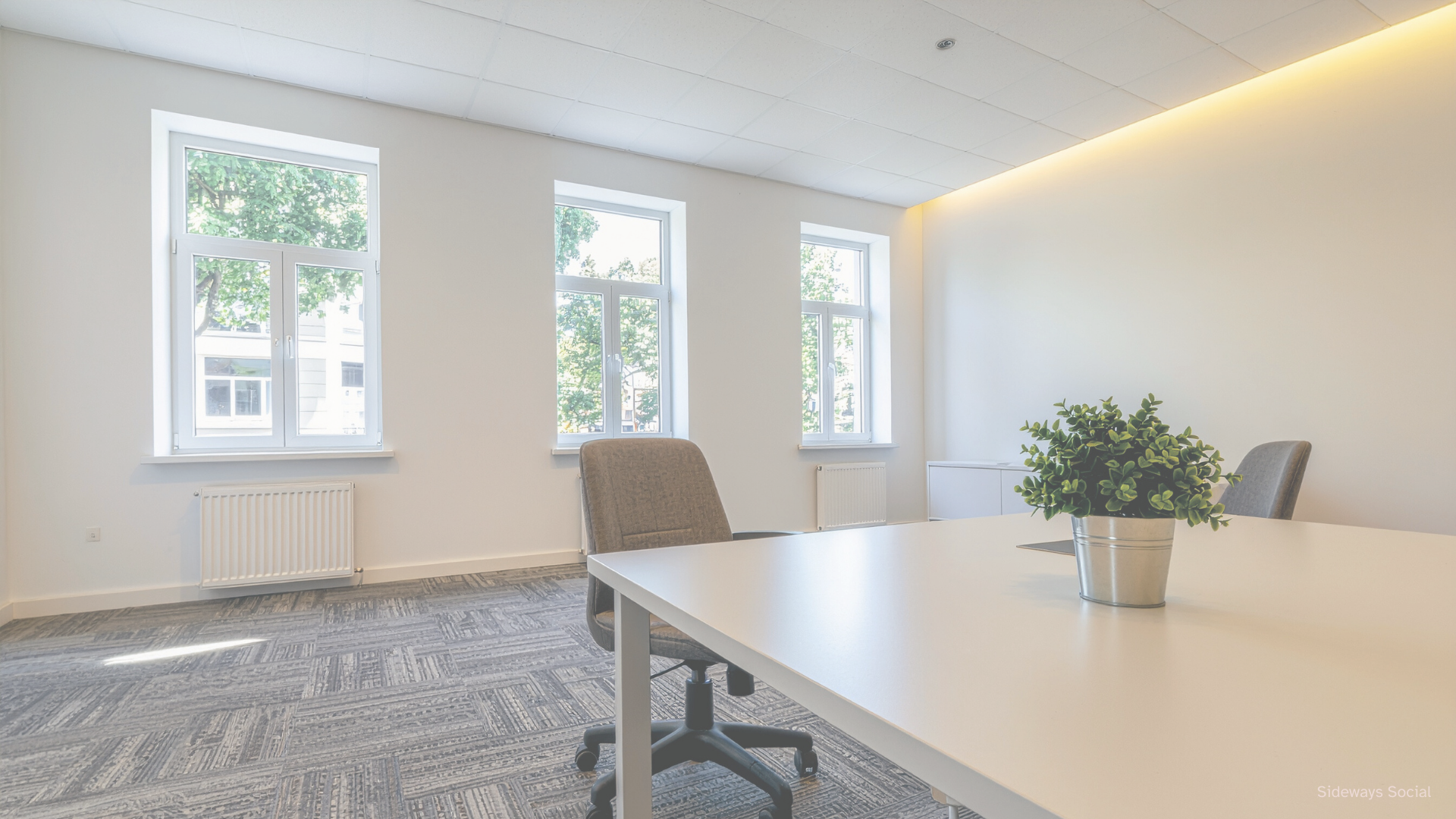 An empty conference room with three large windows, white walls, a white table with a potted plant, and two beige office chairs.