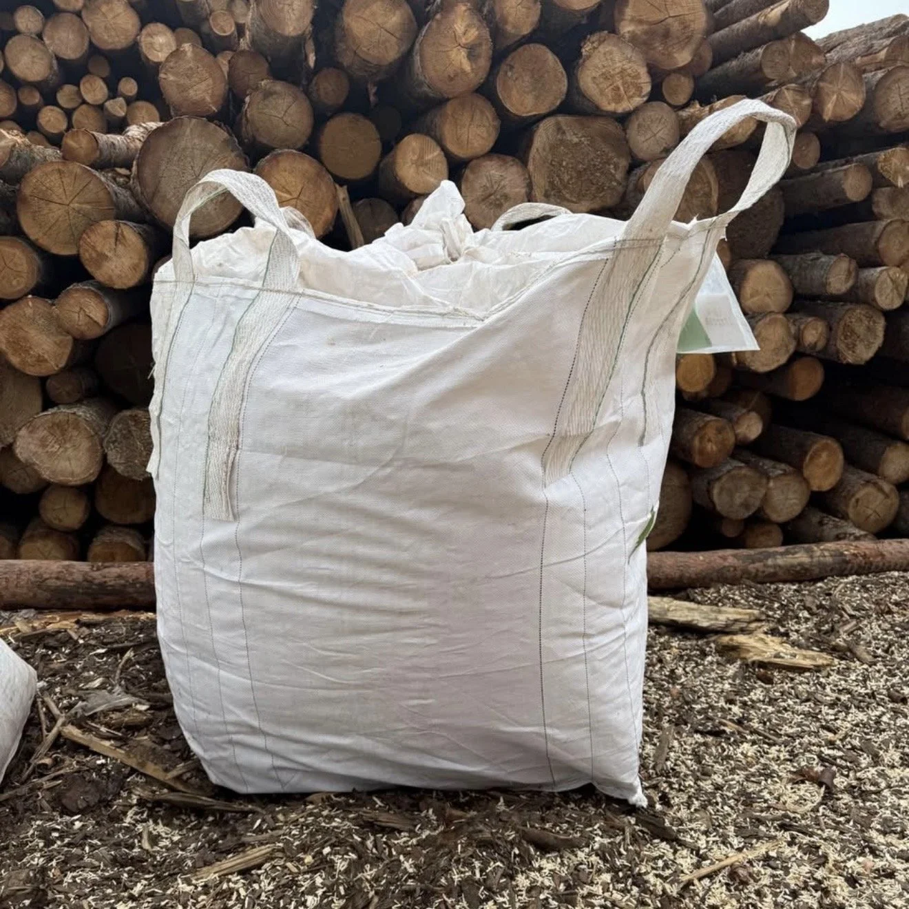 Tote Bag of Sawdust