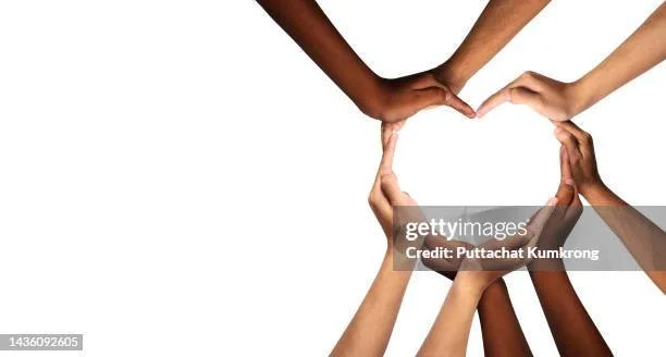 Multiple hands of diverse skin tones forming a heart shape against a white background.