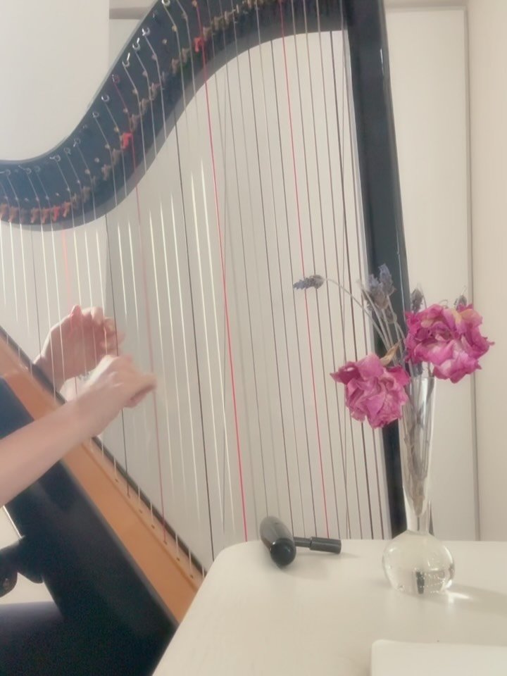 I&rsquo;m playing a solo ambient set at @yachtclubyoga for their Yin + Sound Healing class on July 7th at 7pm.

It&rsquo;s a very special studio right by the ocean, with yin led by @justinedavisyoga 

Tickets are linked in my bio
