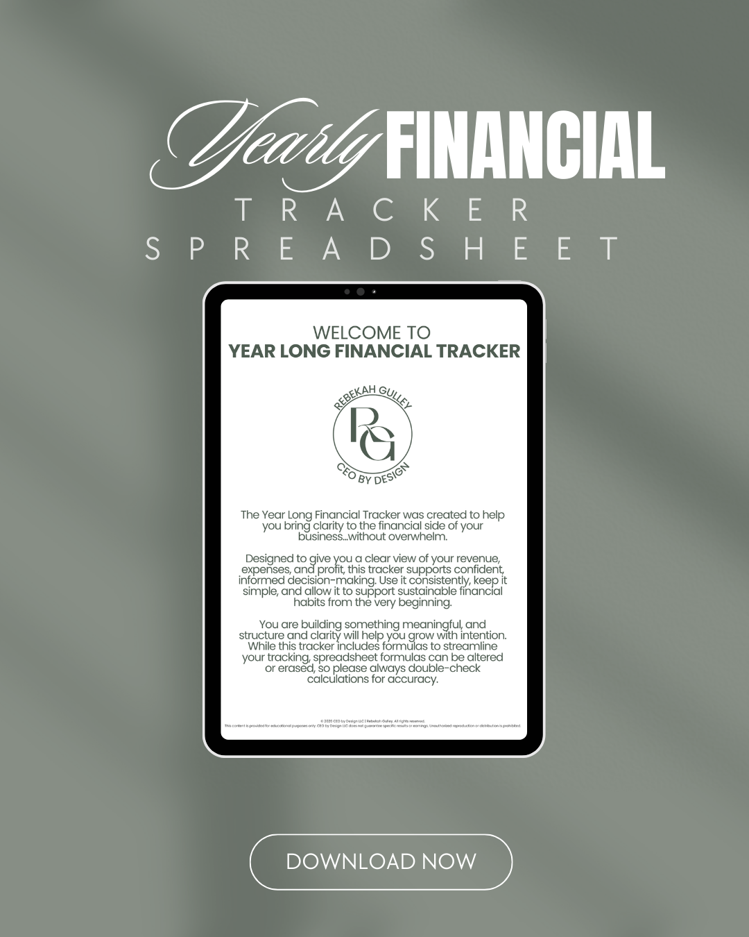 Year Long Financial Tracker