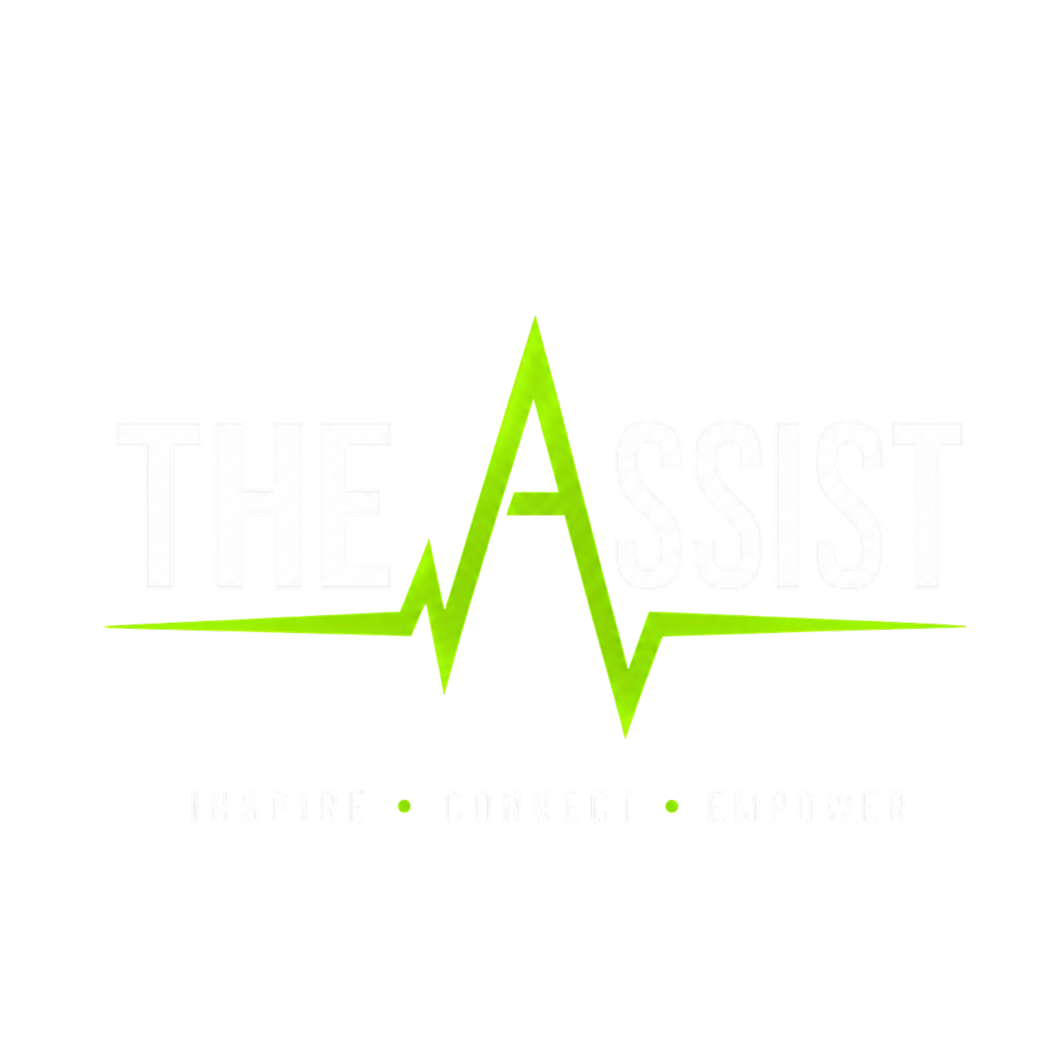 The Assist LLC