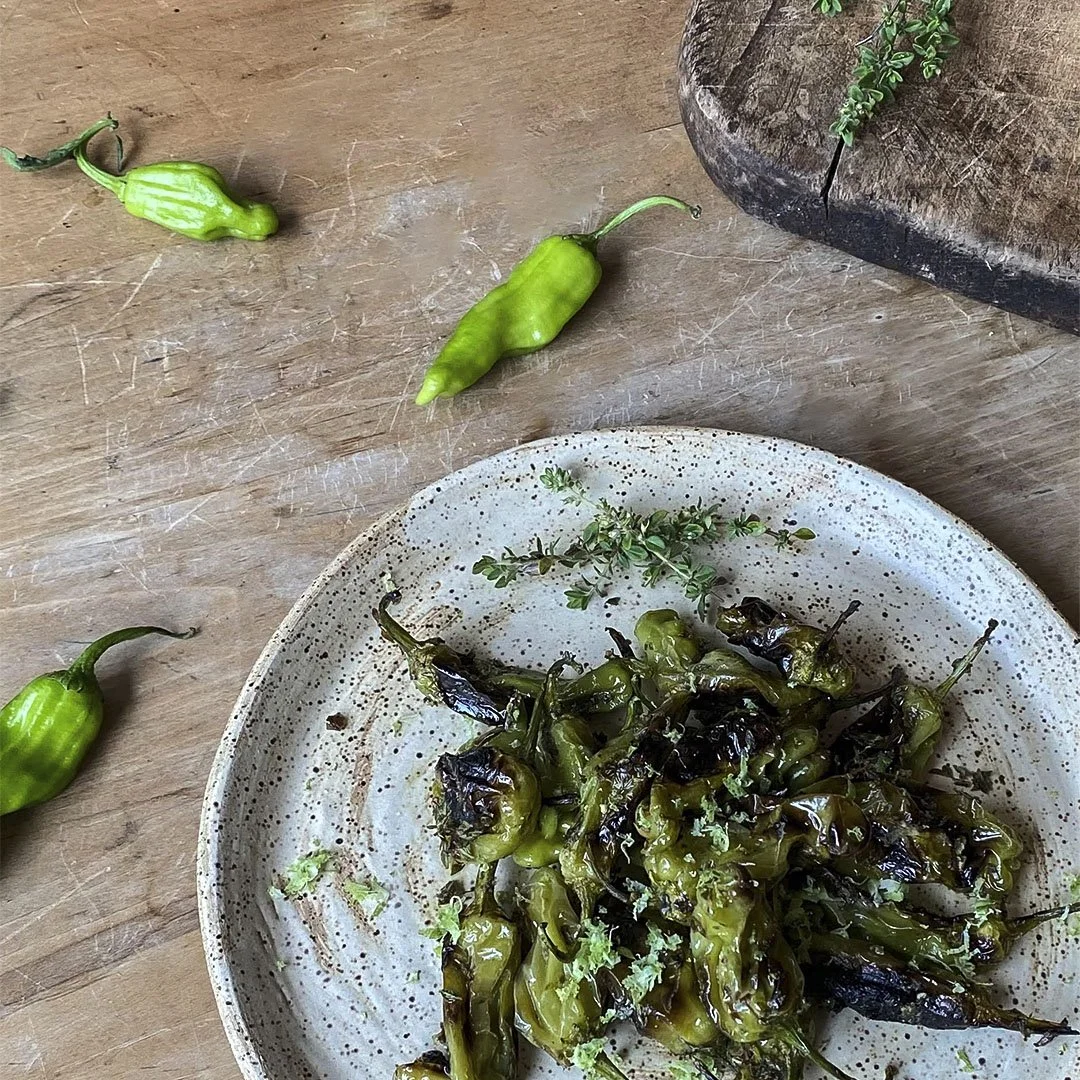 Blistered Shishito Peppers with Green Meyer Lemon, Oregano, and Thyme