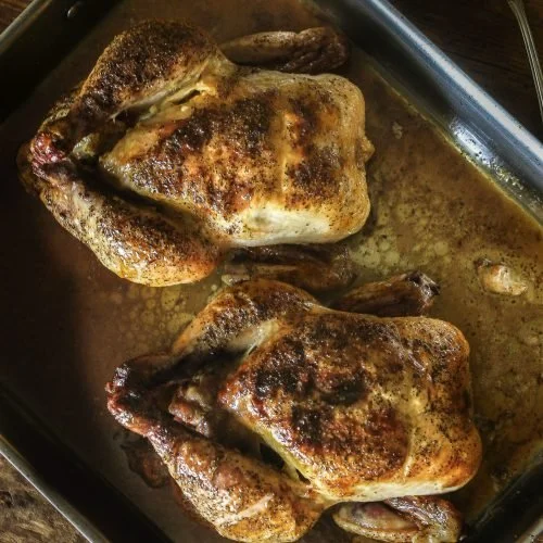 Roasted Cornish Hens with Orange, Garlic and Ginger