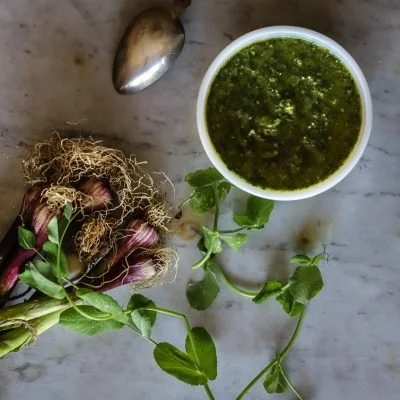 Snow Pea leaves and green garlic pesto
