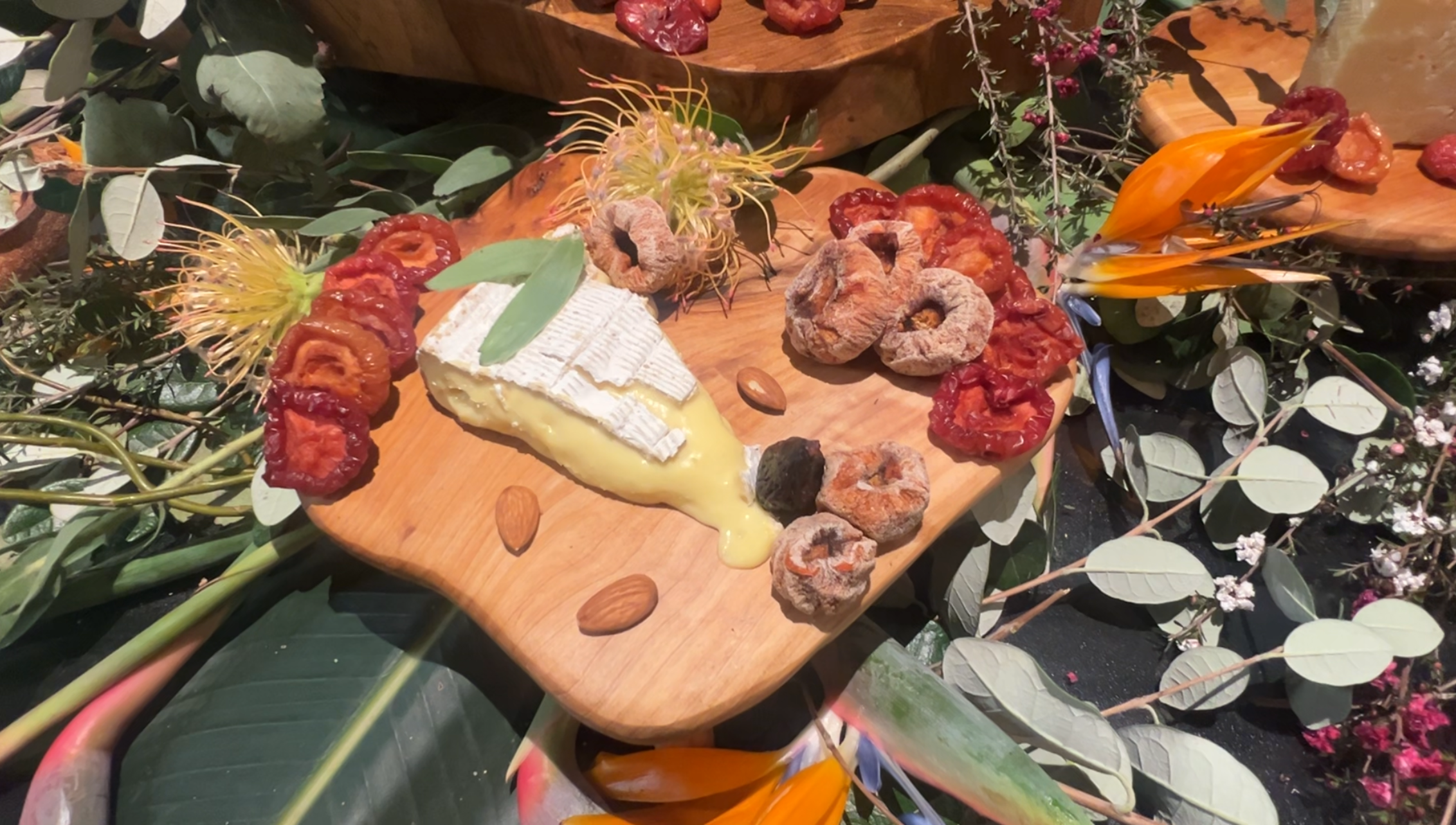 NOOE EVENT PICS (13).PNG