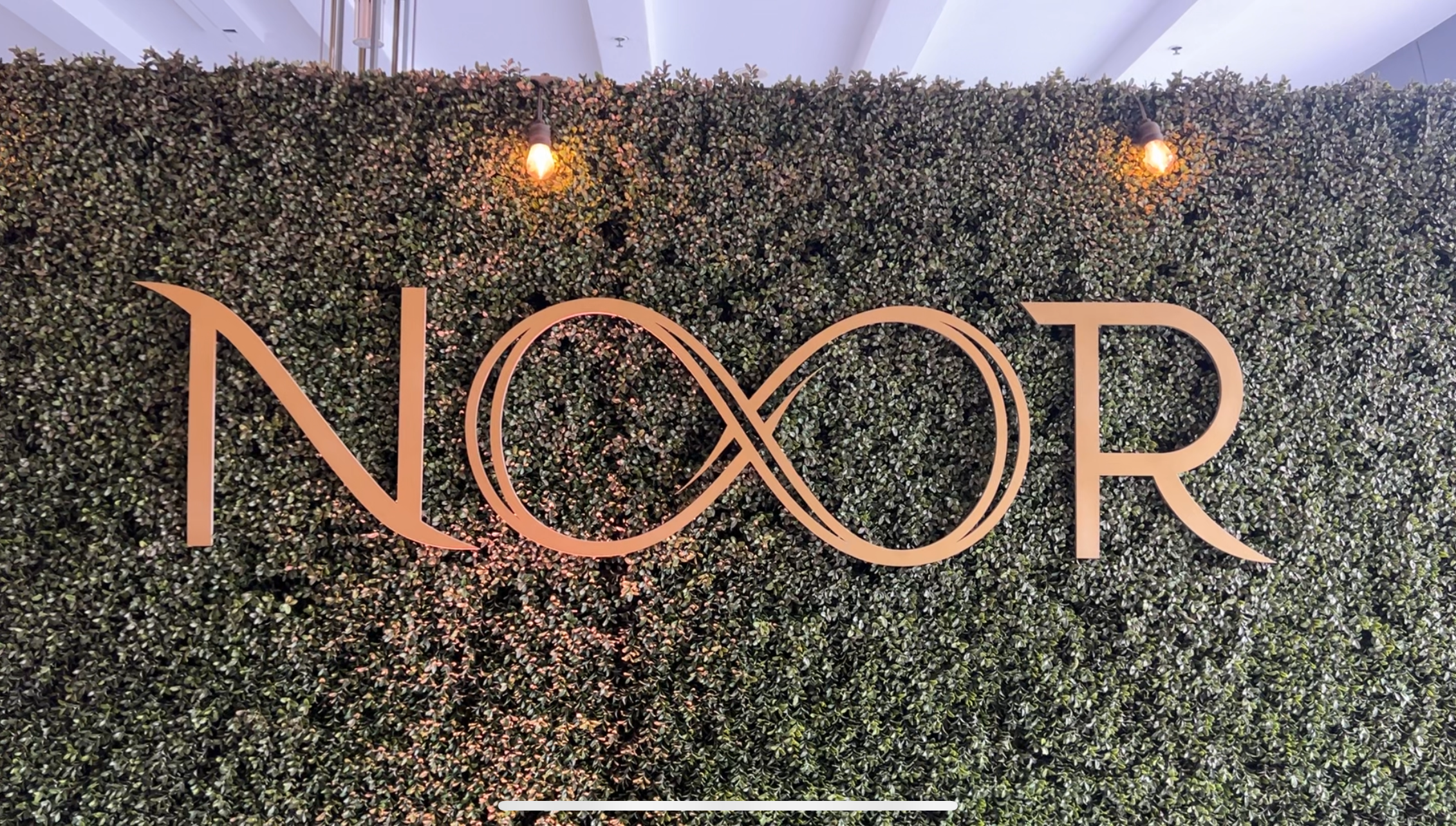 NOOE EVENT PICS (14).PNG