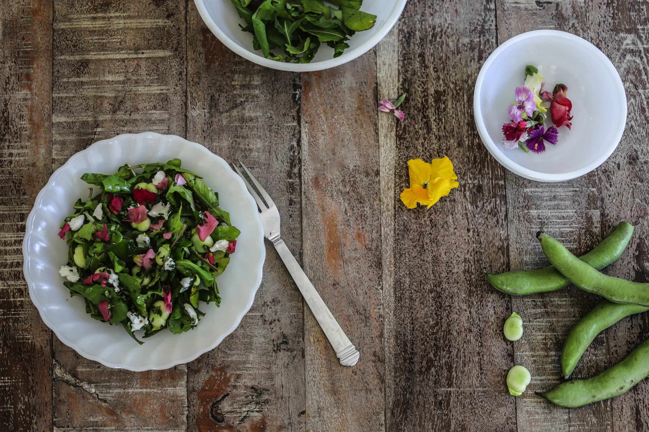 Arugula-Fava-Bean-Thyme-Edible-Flower-Salad.jpg