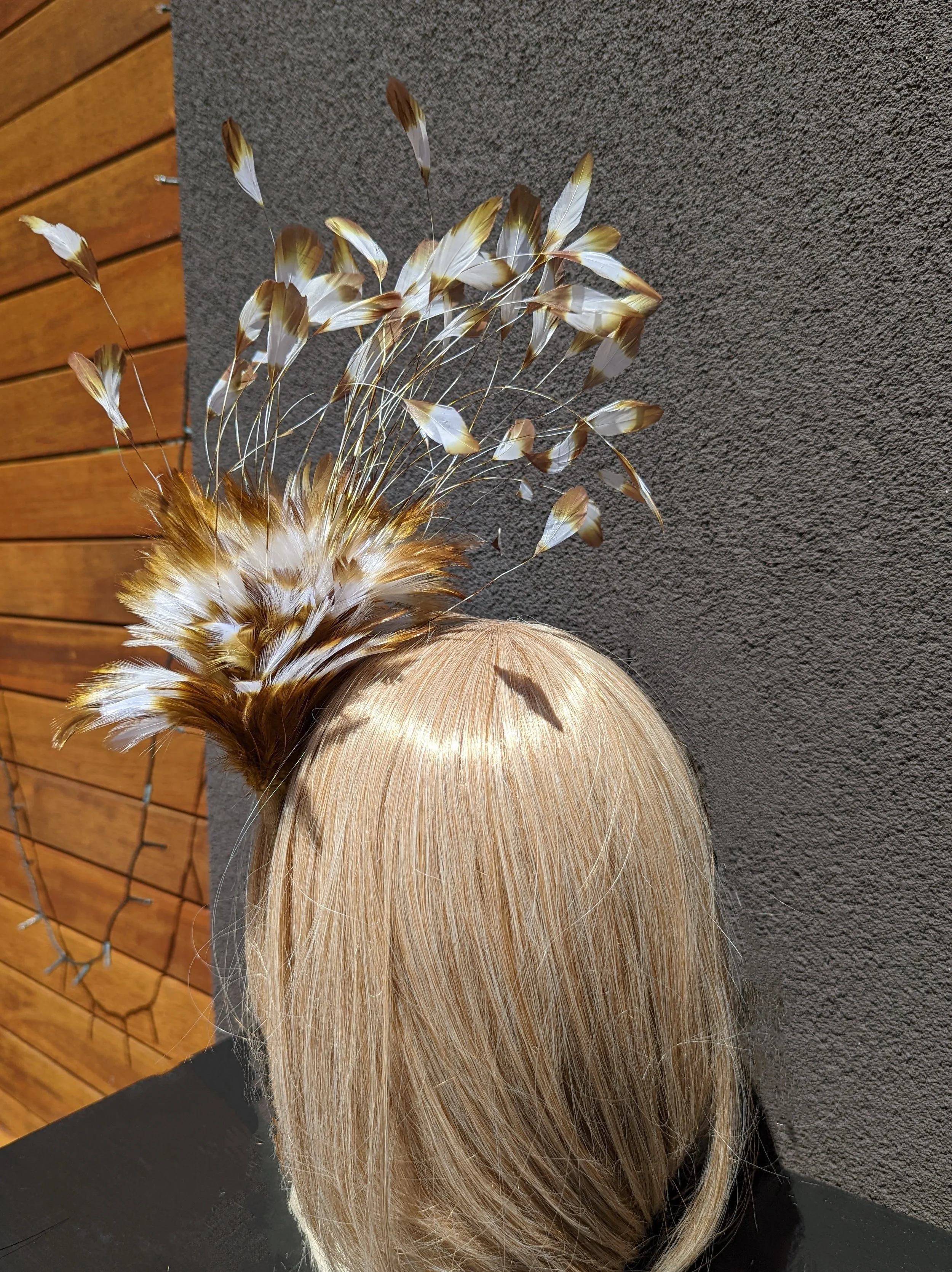 PXL_20221019_021722152 Copy.jpeg