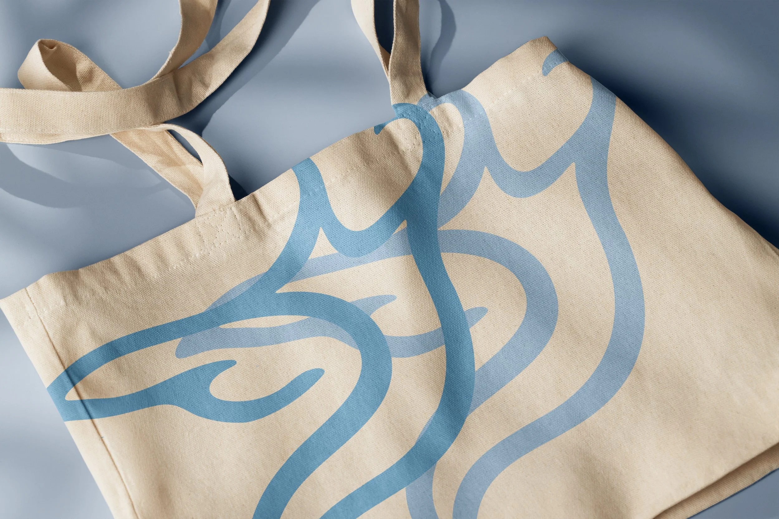 Shopping_Bag_Close-up-Recovered.jpg