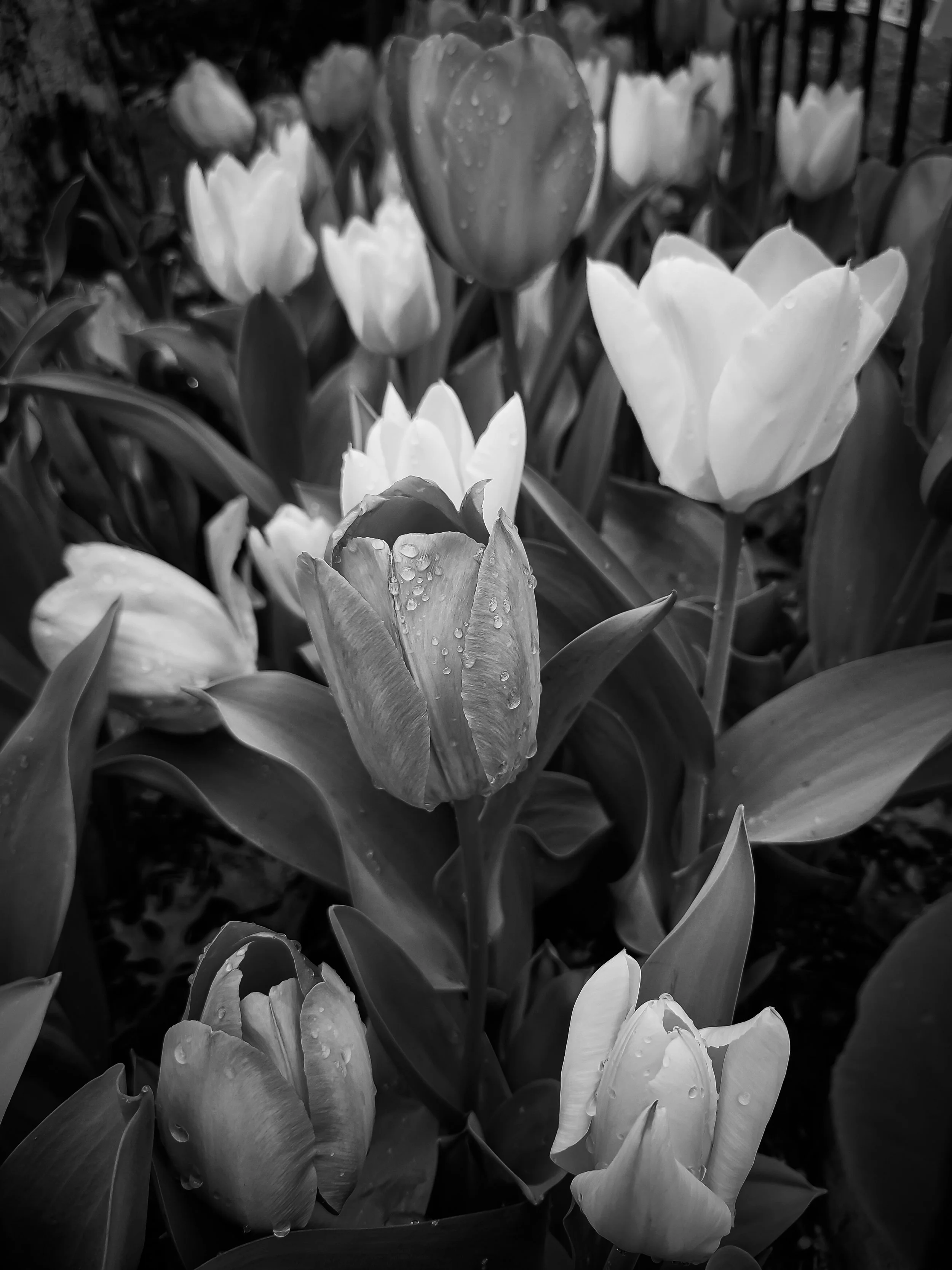 20220406_142904 (1).jpg