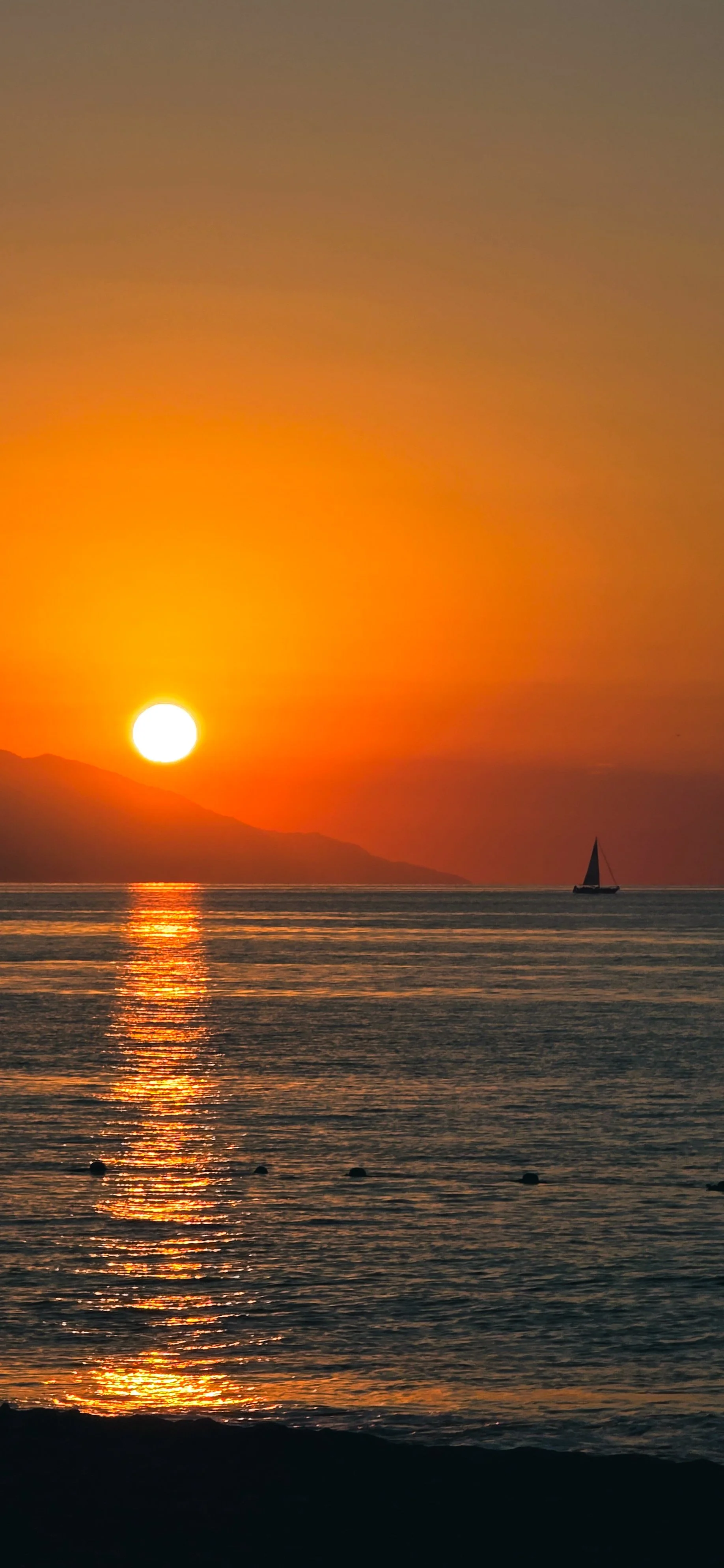 20251219_181631 (1).jpg