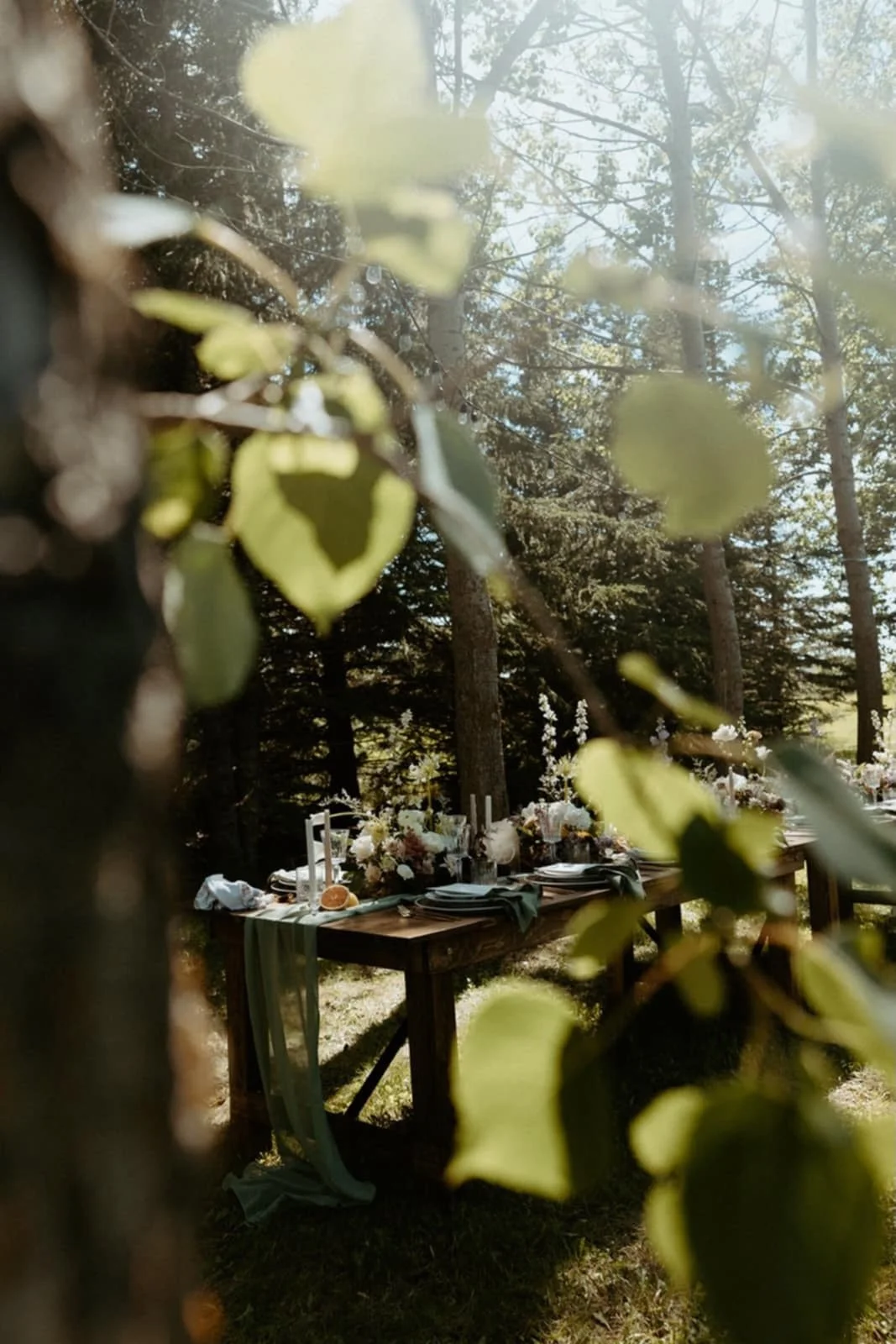Outdoor table set for a gathering or celebration in a wooded area, decorated with flowers, plates, and candles, viewed through leaves.
