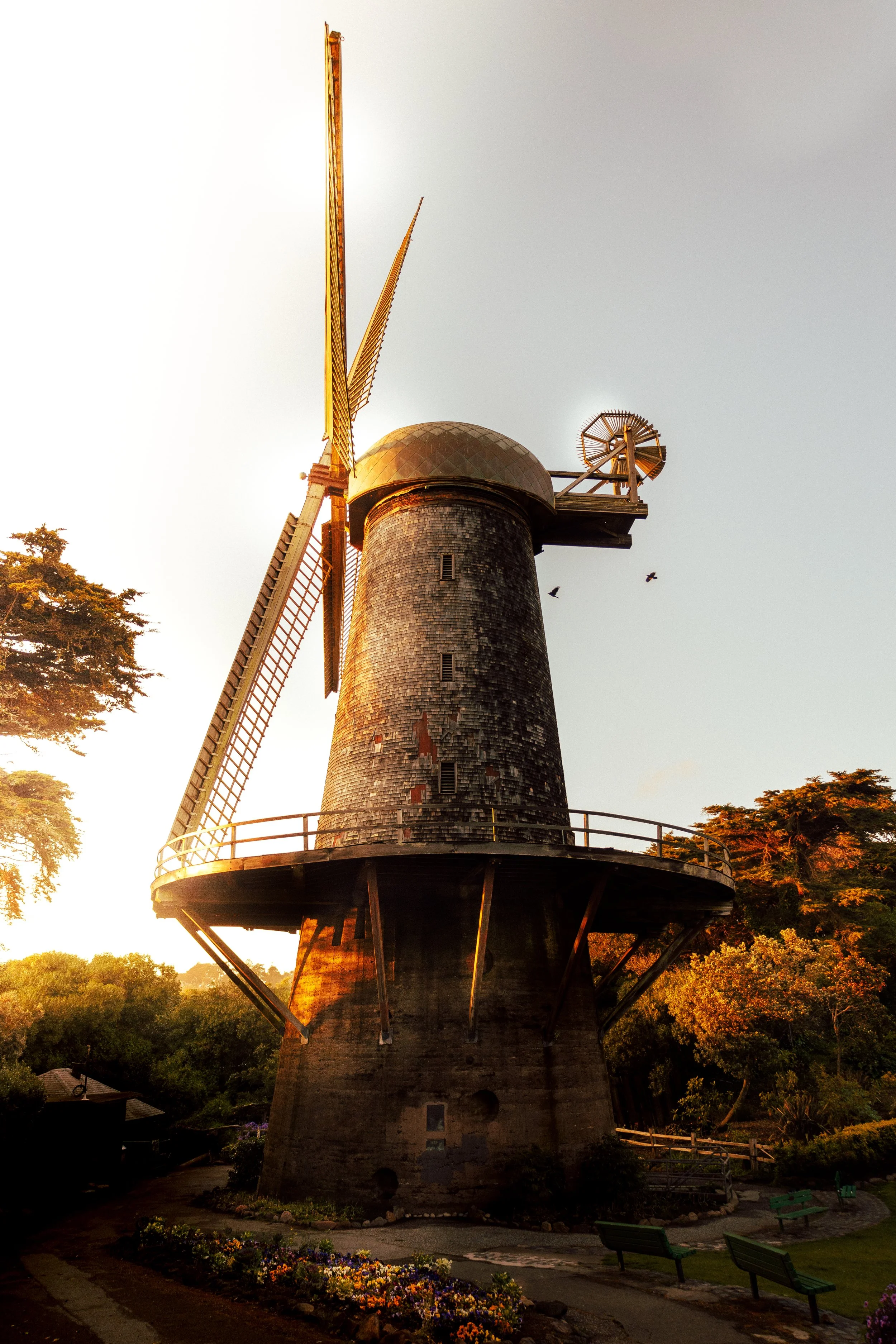 windmill-6573-2.JPG