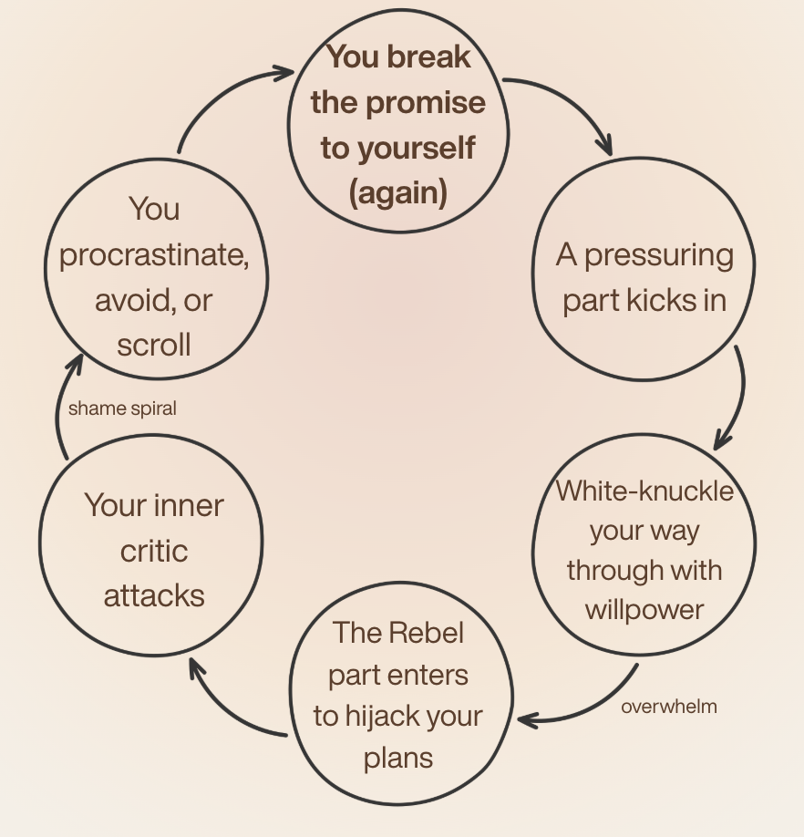 Self Sabbotage Loop Megan Pasierbek