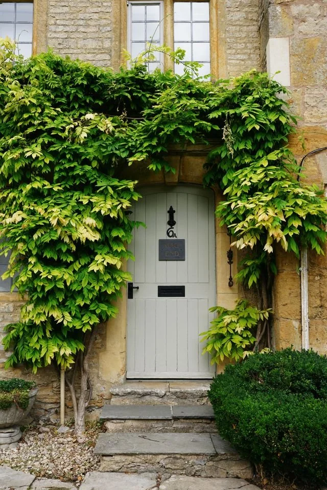 The white panelled doorway of a large stone house with green wisteria.
