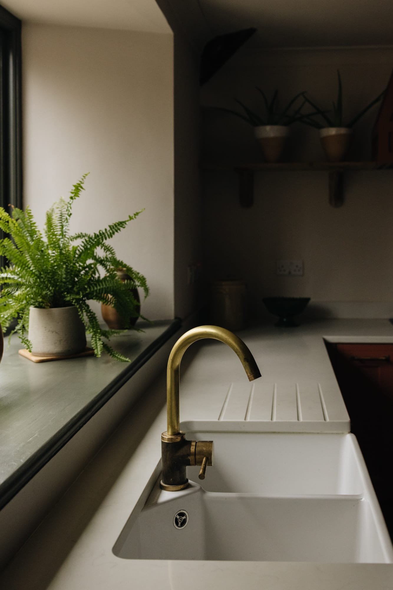 Kitchen sink with a brass faucet and white basin, green potted fern on the windowsill, and dark shelves with potted plants in the background.
