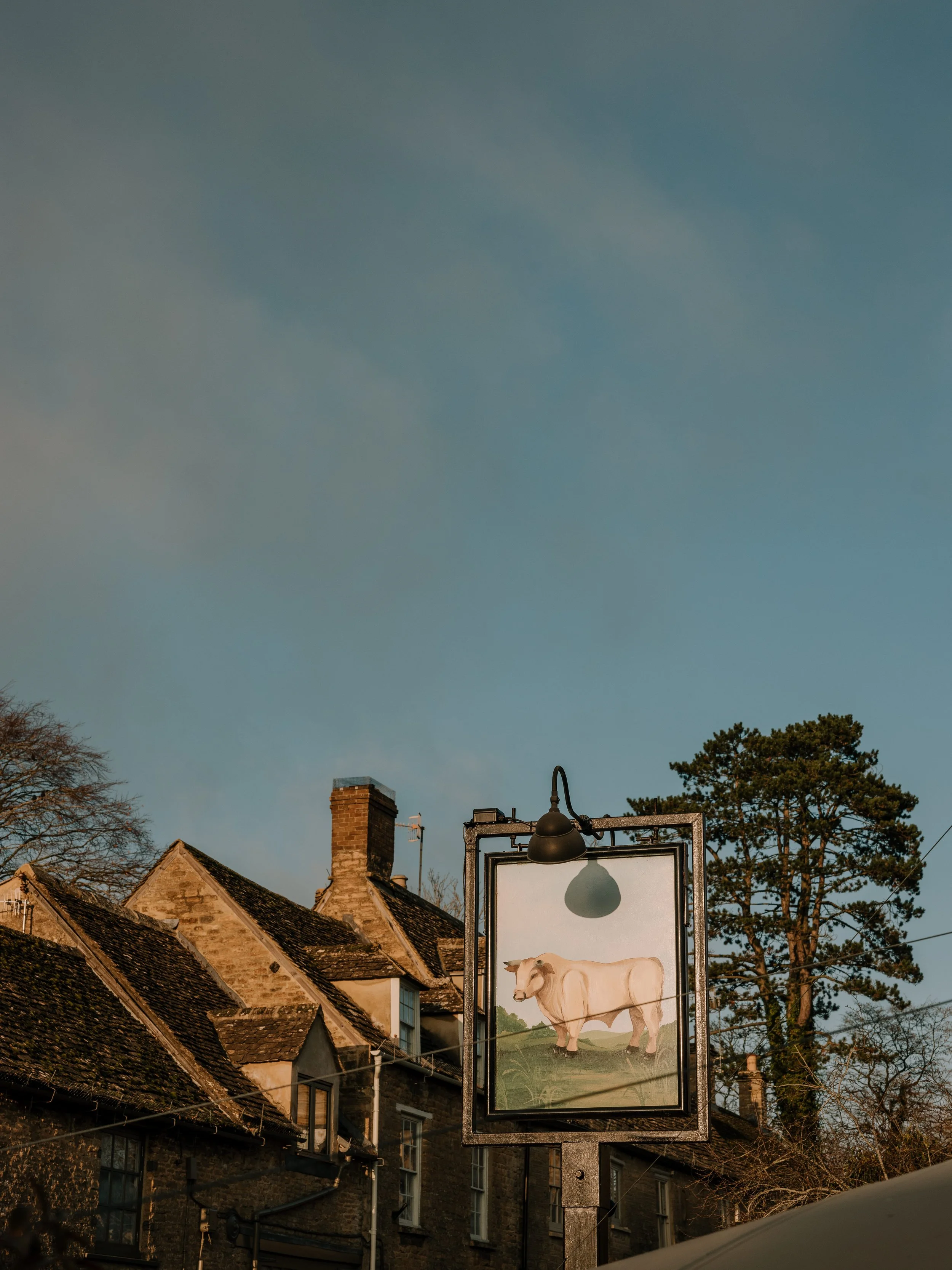 A street sign with a painting of a cow hanging from a streetlamp in front of historic brick buildings and trees.