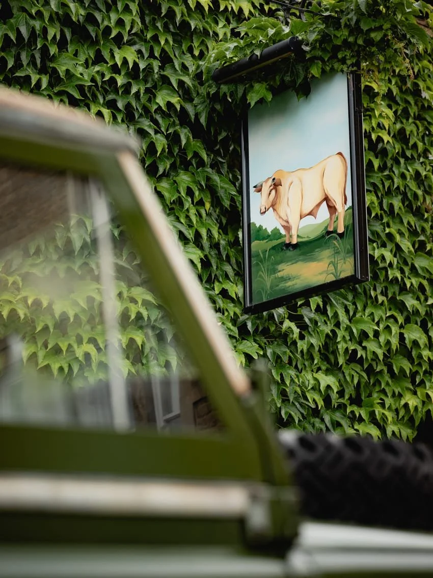 Painting of a cow on a wall covered with green ivy leaves.
