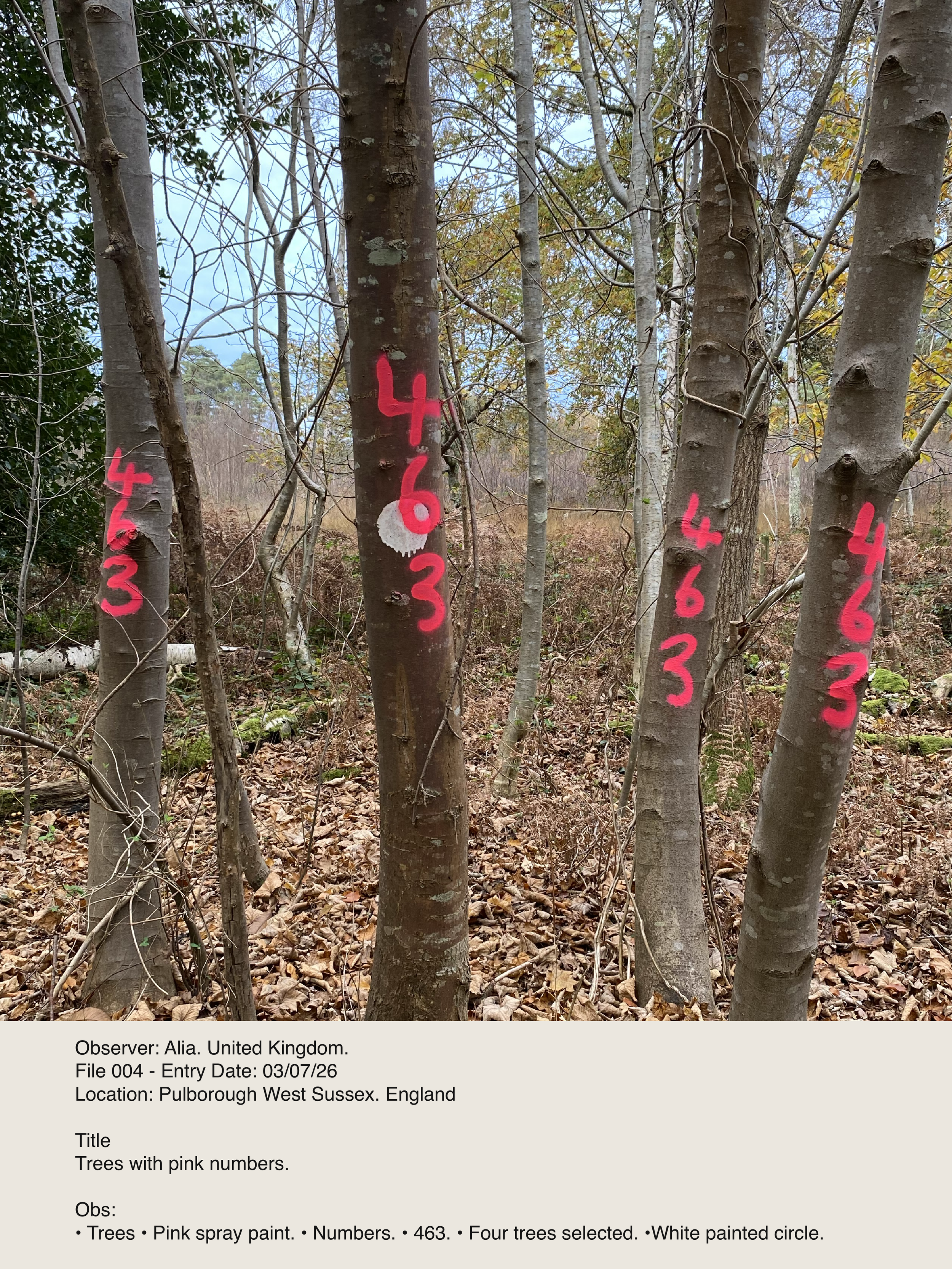 Pink numbers on trees