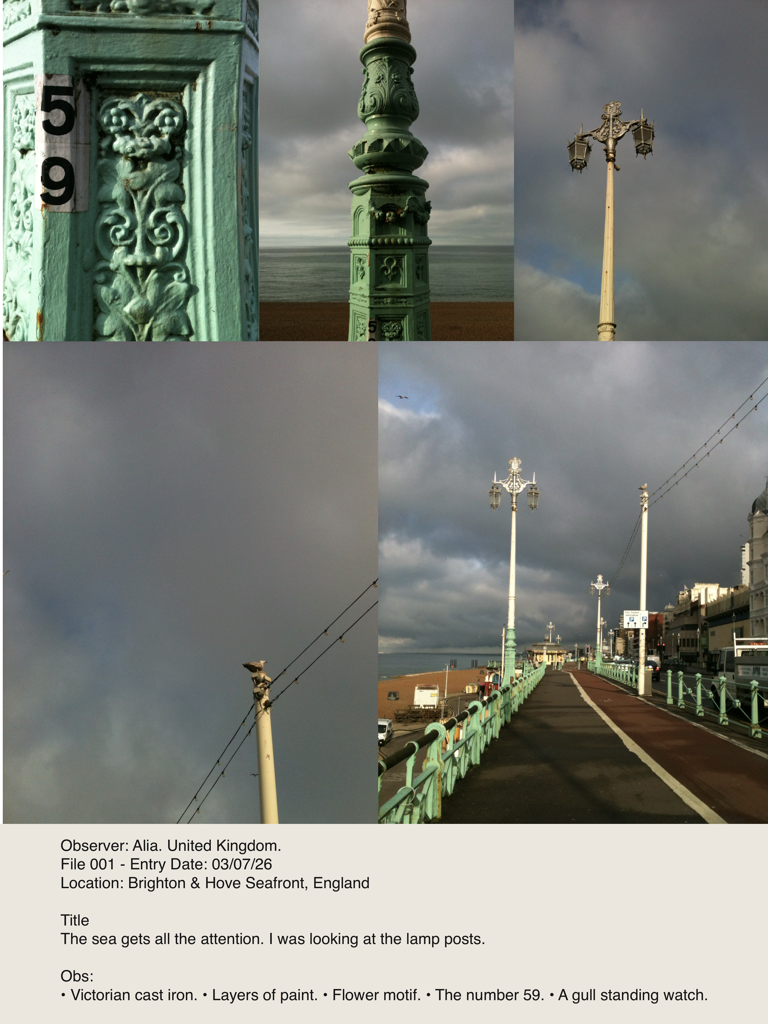 IMG_3133.png