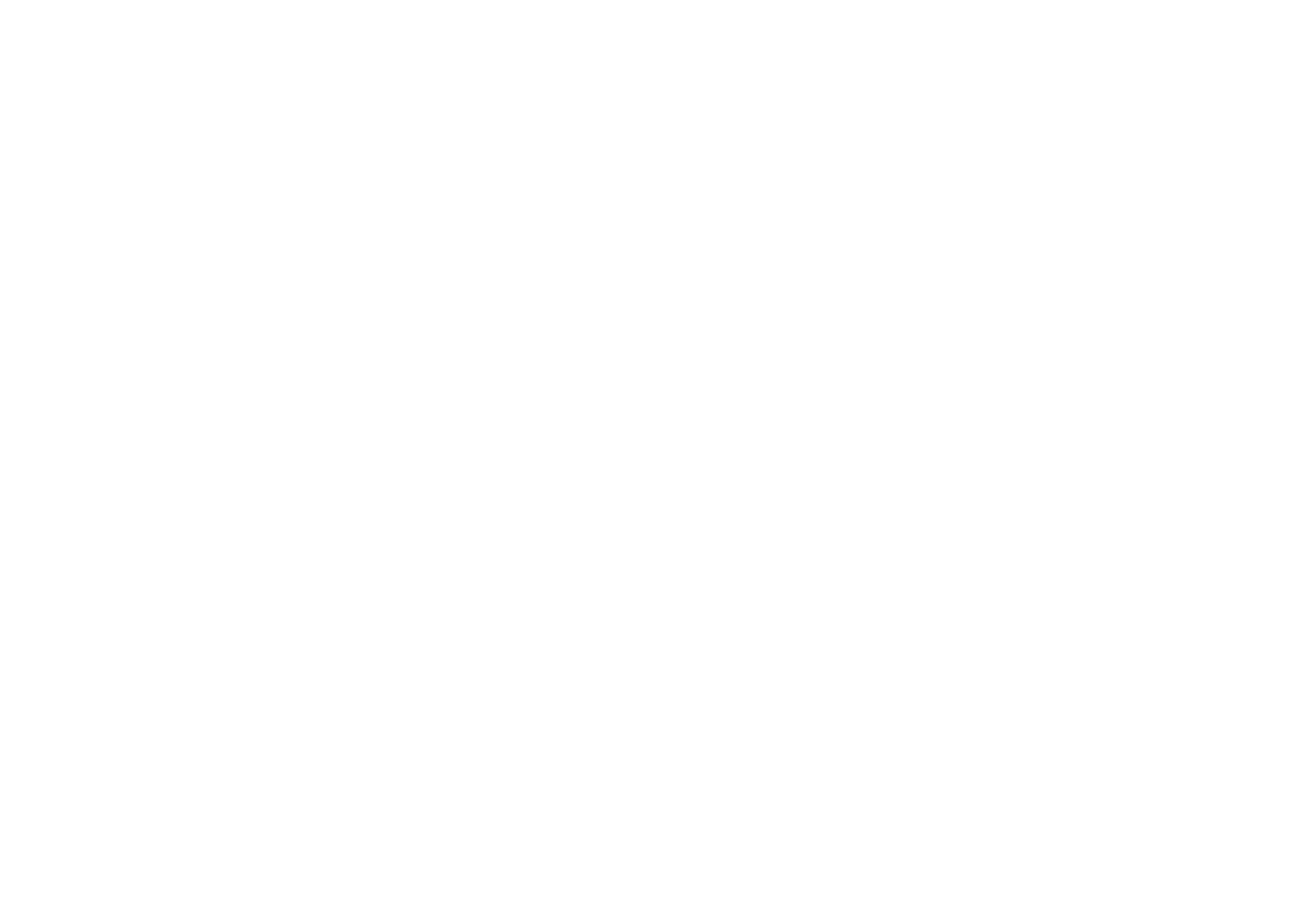 An image of the Neurodiversity Pathways logo in white.