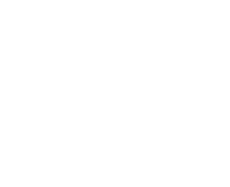 An image of the Neurodiversity Pathways logo in white.
