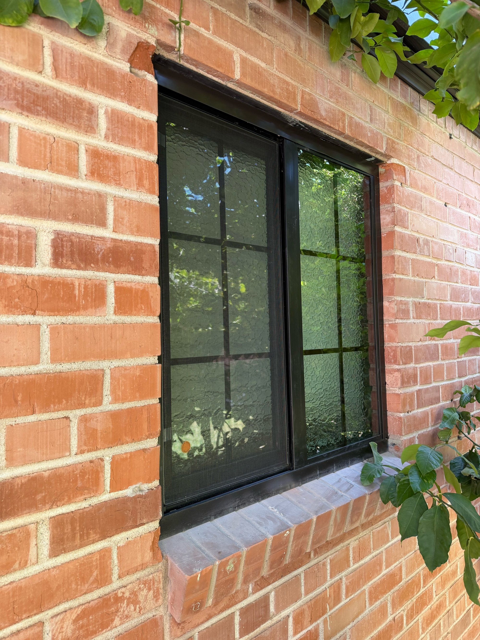 Close-up of a brick house wall with a window that has a black frame and a screen, showing greenery outside. Some green leaves are in the foreground, partially covering the window, and the window has a brick ledge at the bottom.