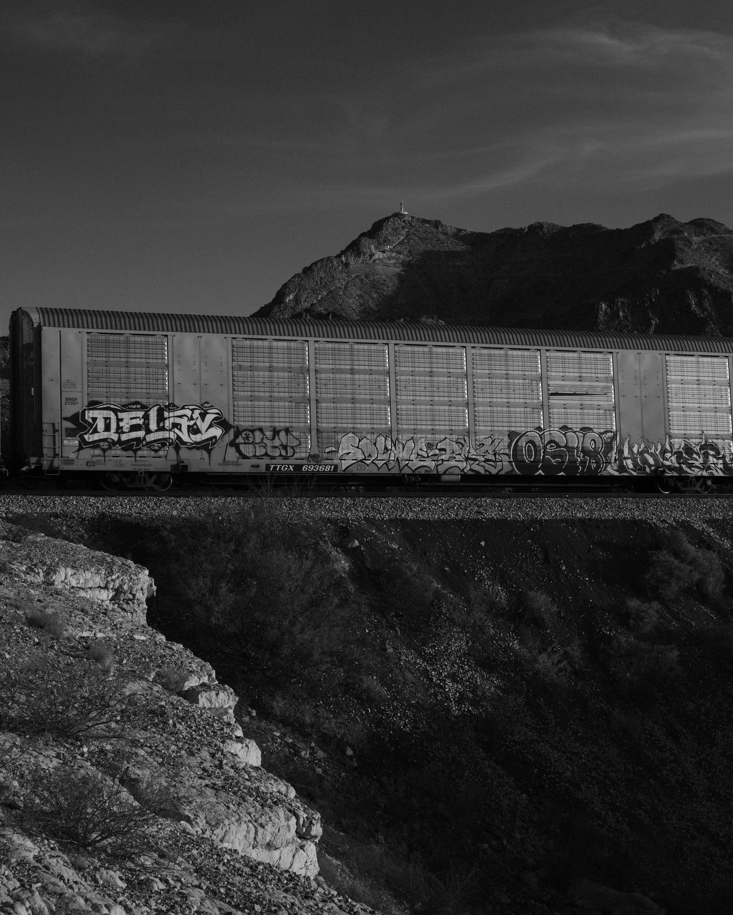 _DSF4378.jpg