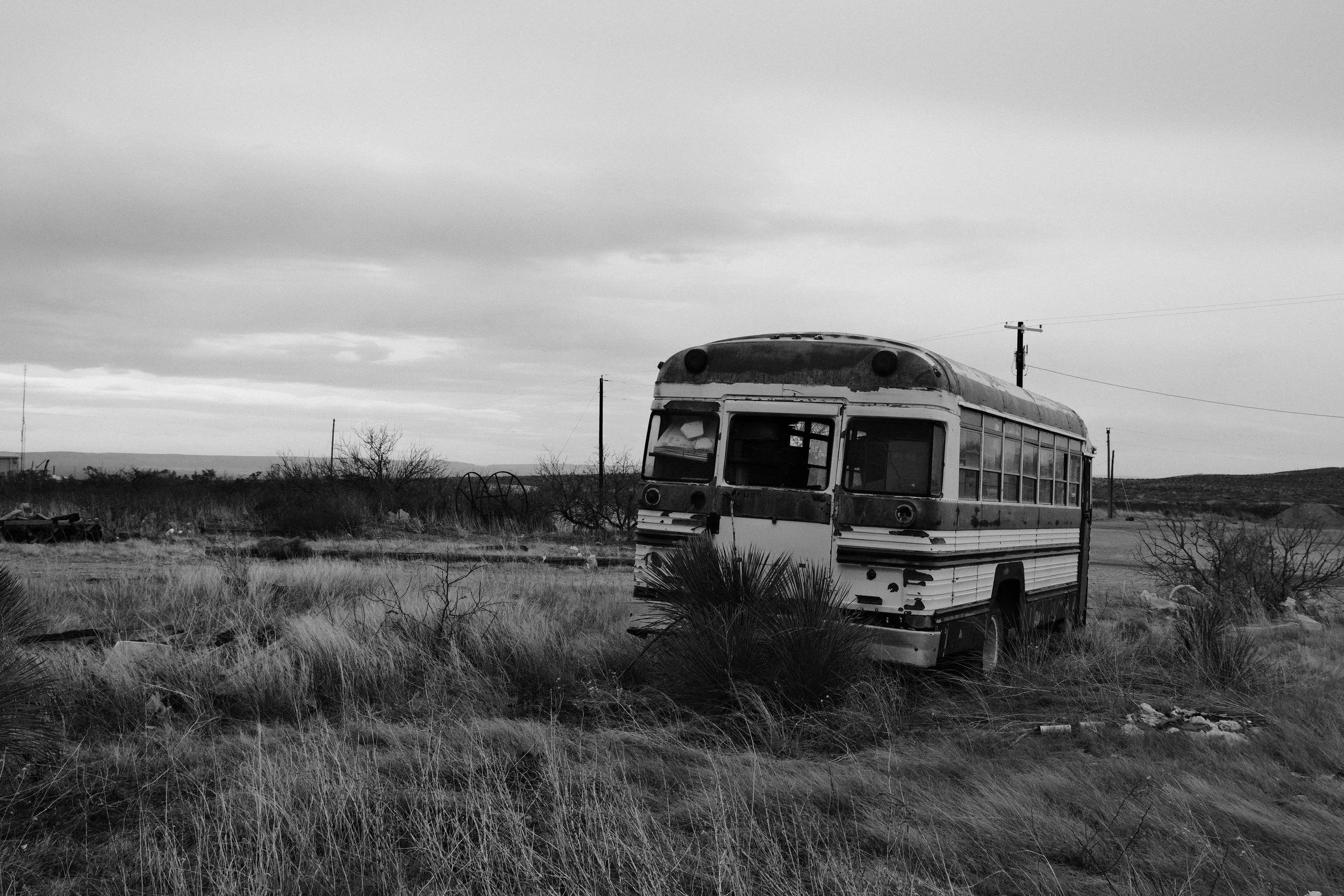 _DSF1649.jpg