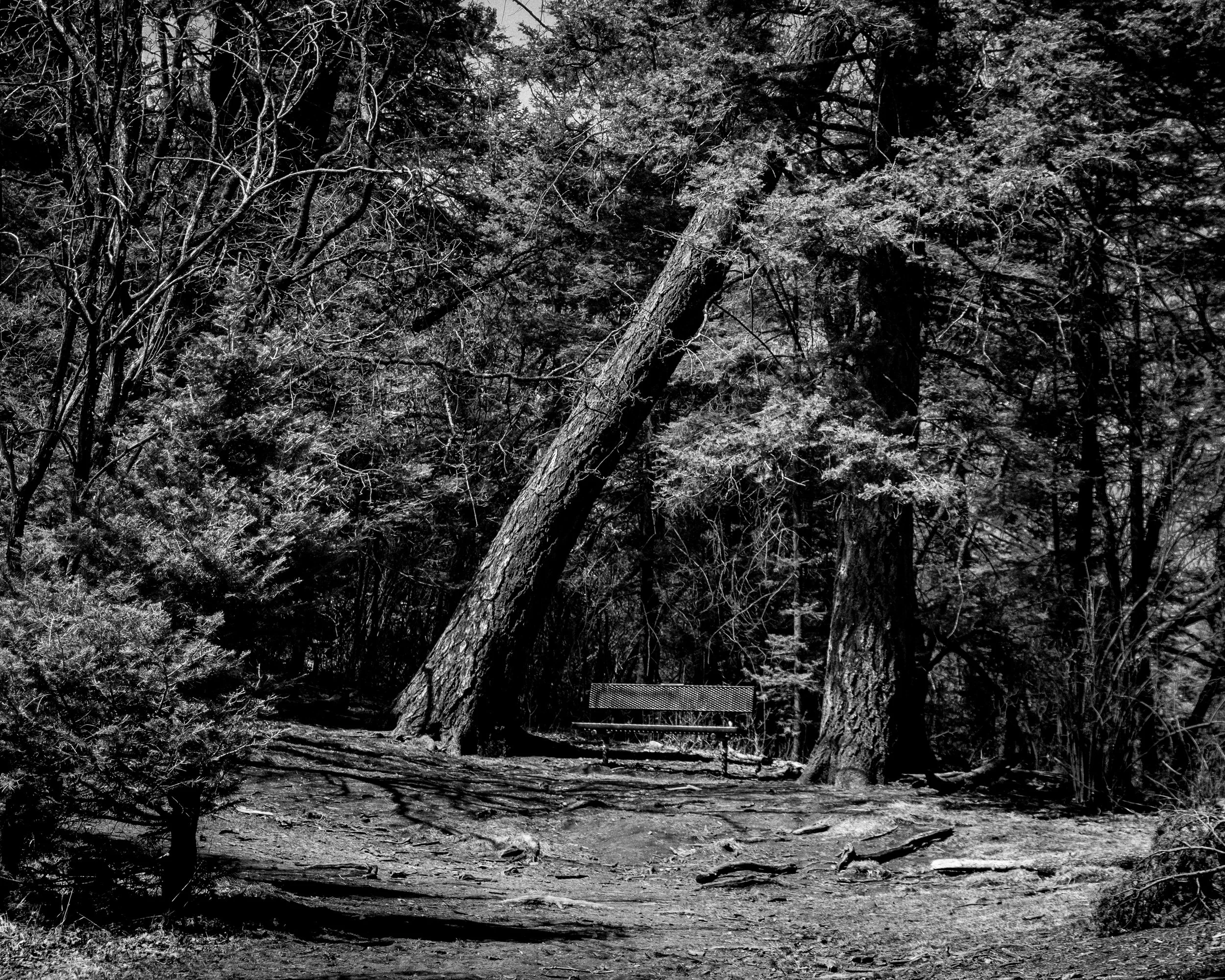DSCF1236-2.jpg