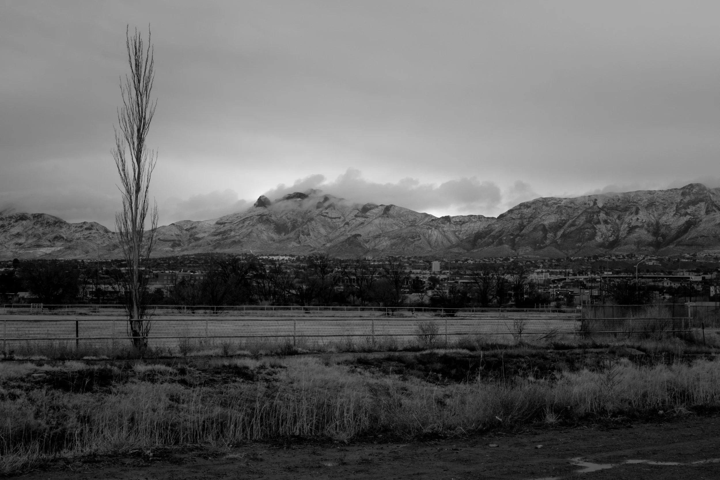 _DSF0451-8.jpg