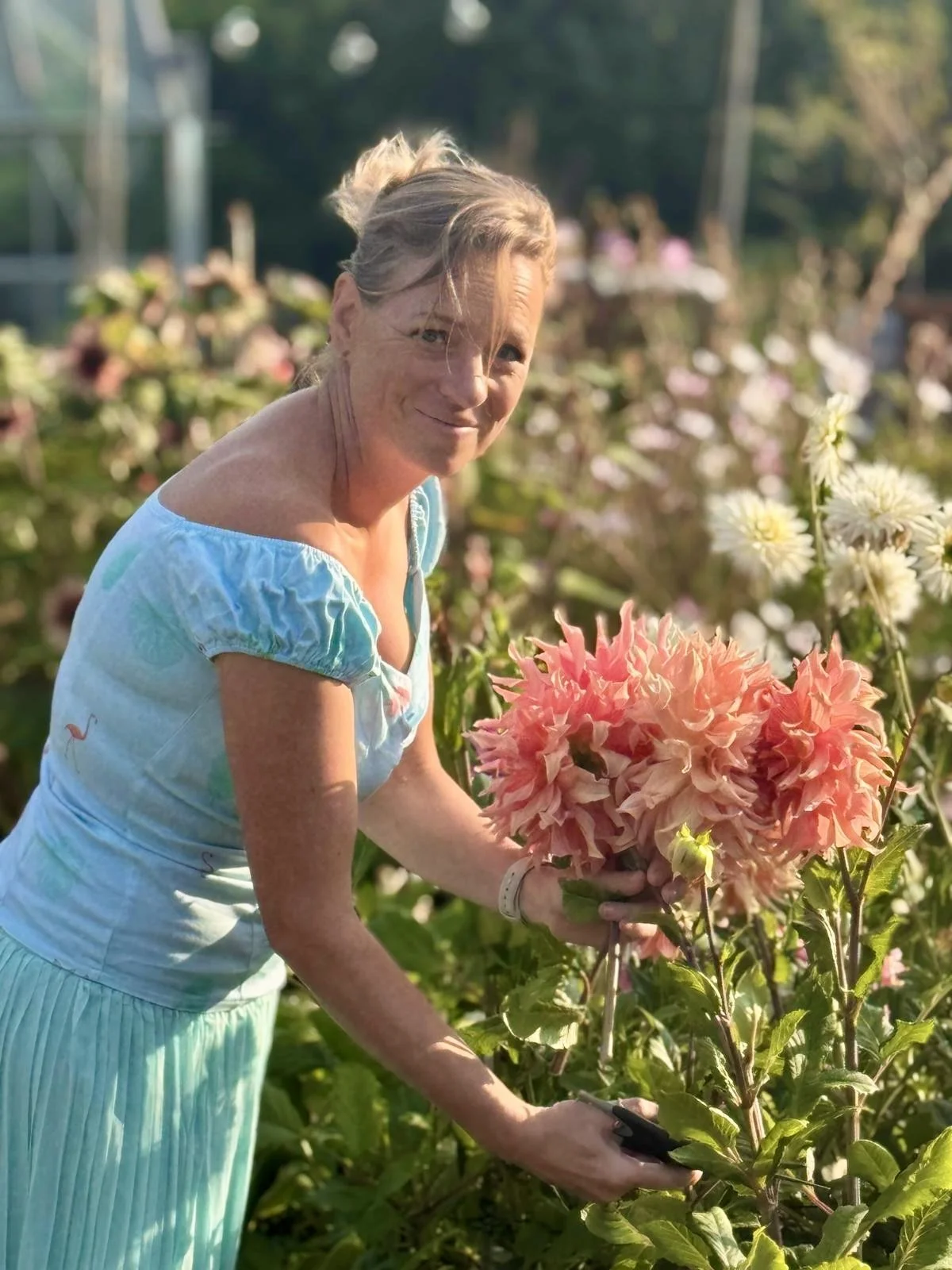 A woman with blonde hair in a bun, wearing a light blue dress, is in a garden holding a large bunch of peach dahlias with other flowers in the background.