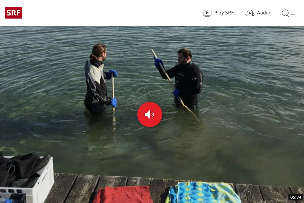 SRF Podcast: Muscheln aus dem Zürichsee
