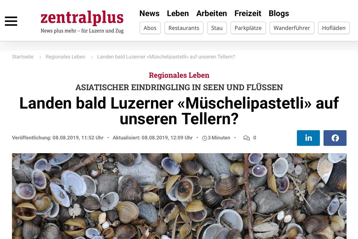 Zentralplus: Landen bald Luzerner «Müschelipastetli» auf unseren Tellern?