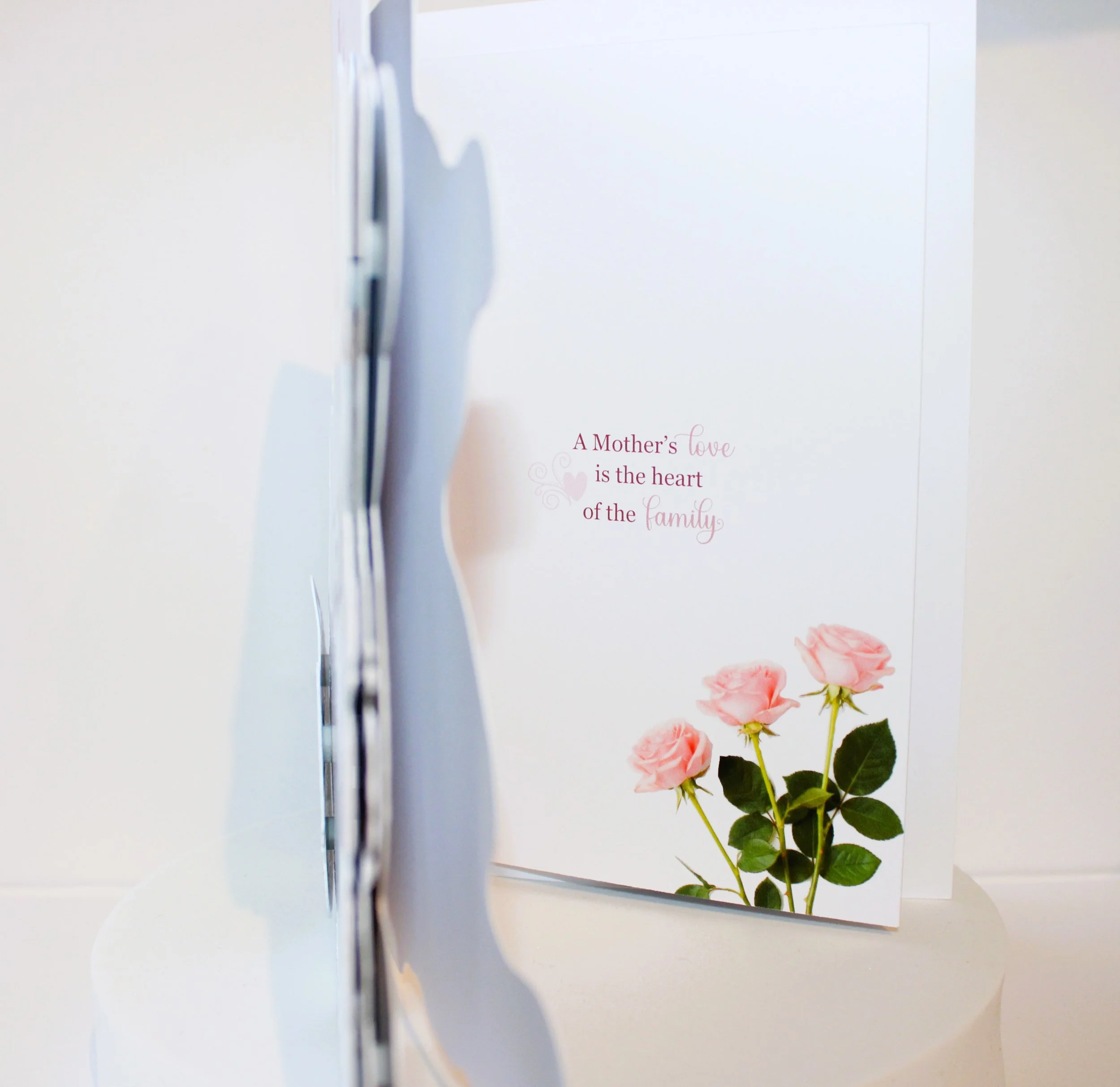 Mother's Day Card Inside!