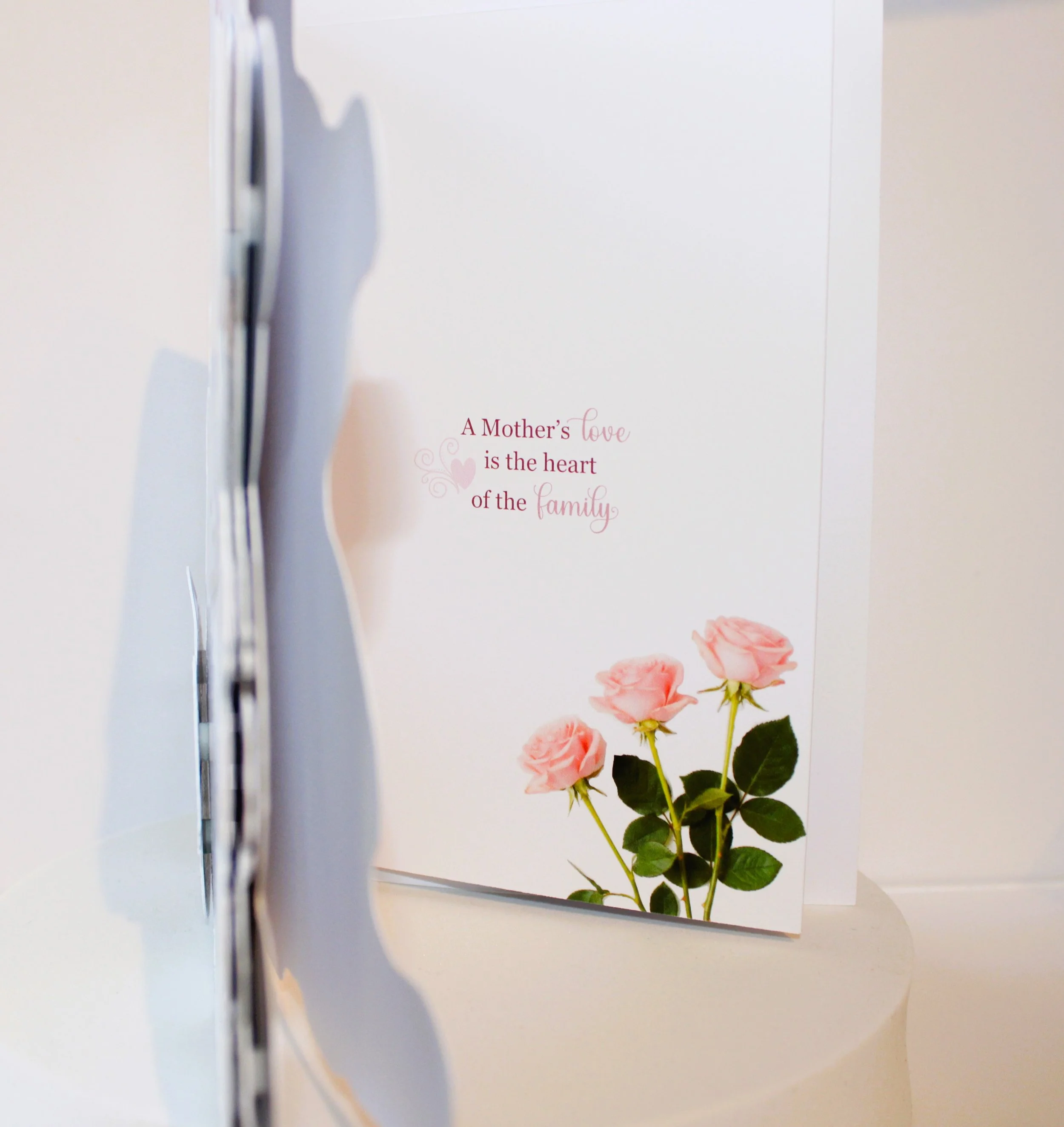 Mother's Day Card Inside!