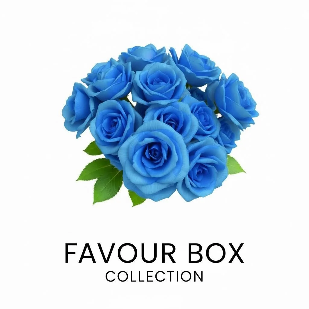 Favour Boxes