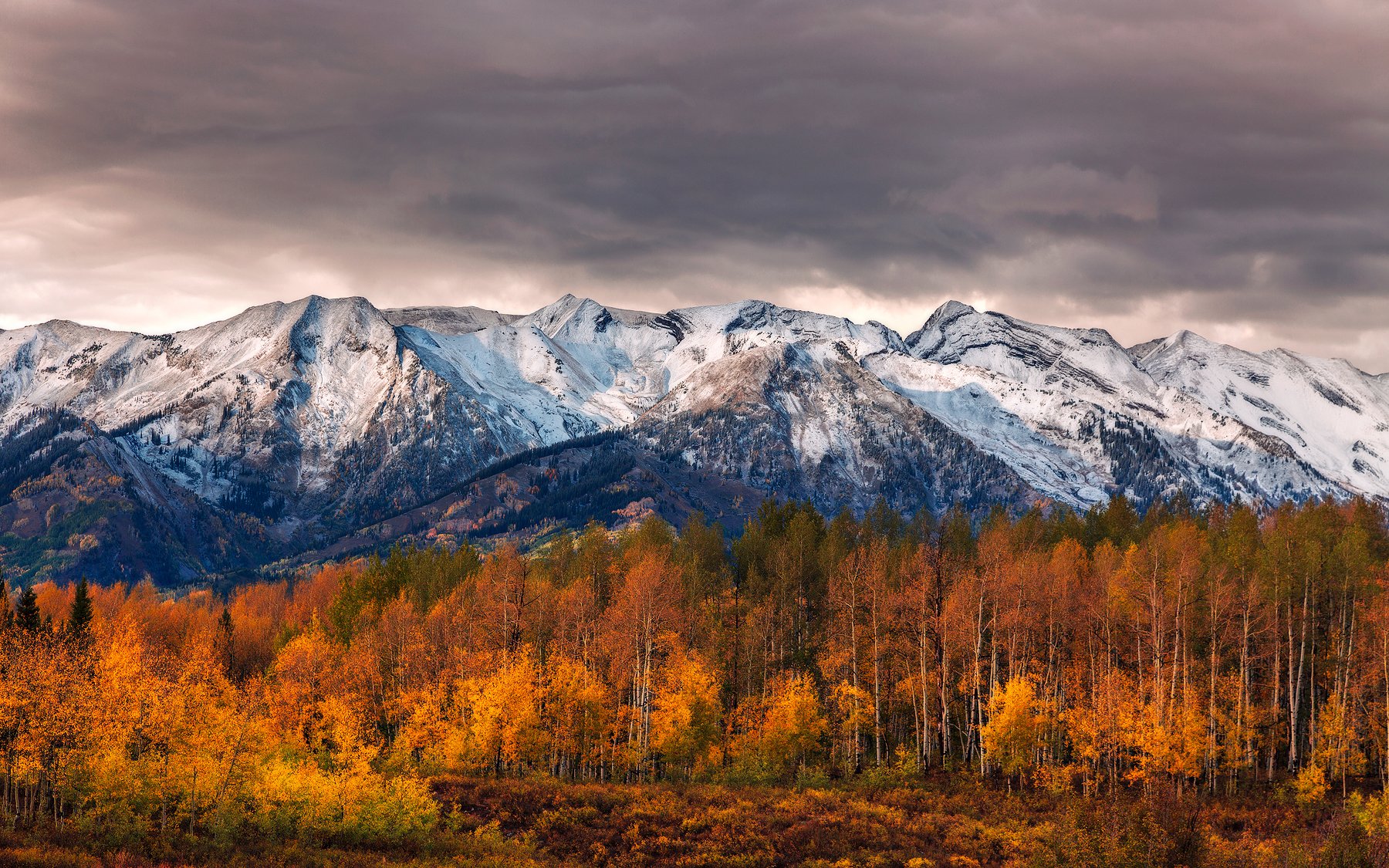 The Ragged Mountains from Kebler Pass Road west of Crested Butte