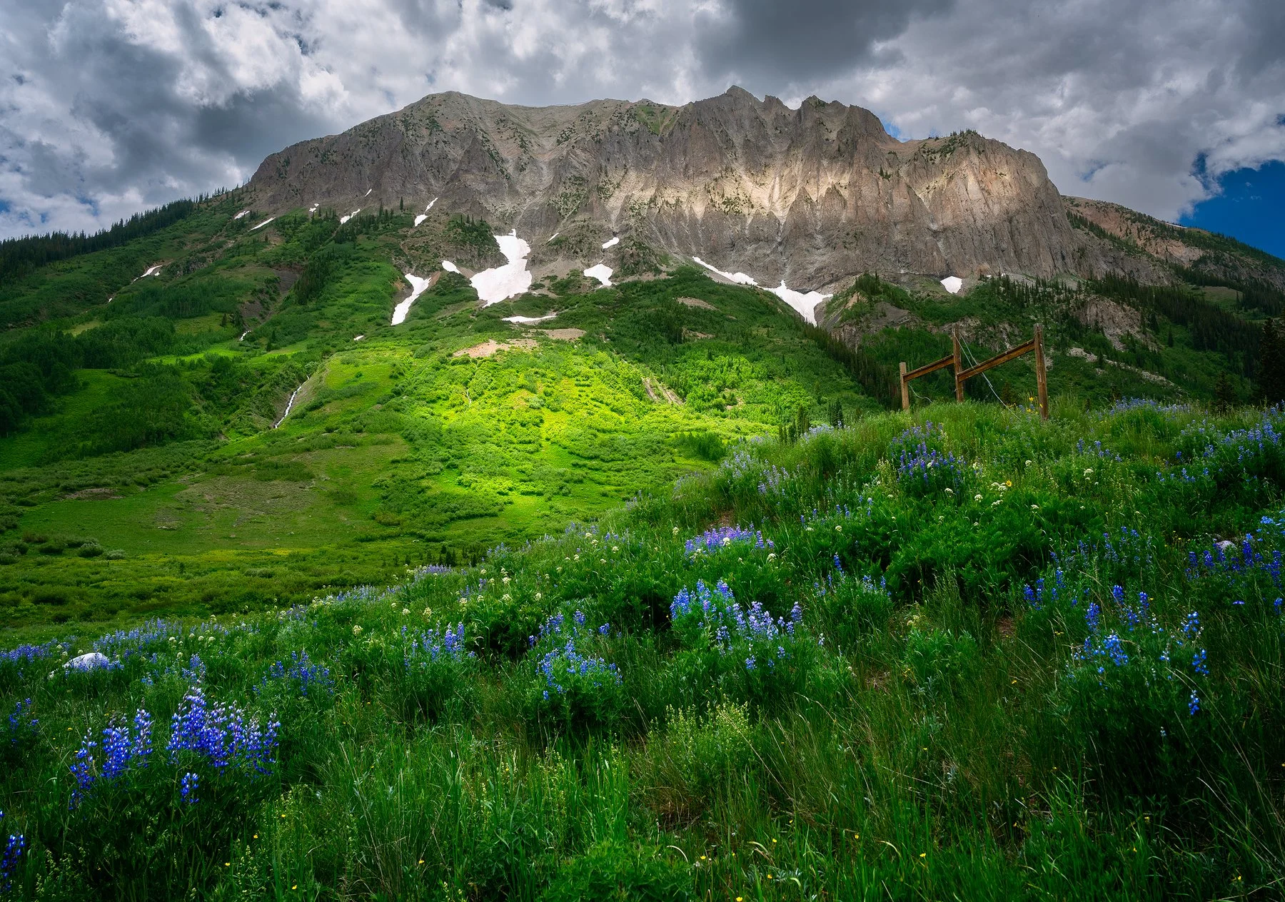 Field of wildflowers with the dramatic cliff of Gothic Mountains