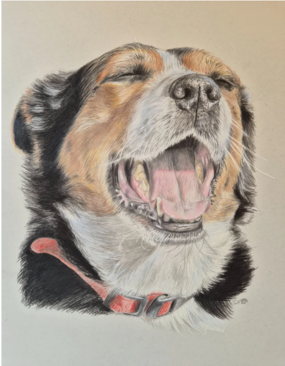 Drawing of a happy, yawning dog with closed eyes, showing teeth and tongue, wearing a red collar.