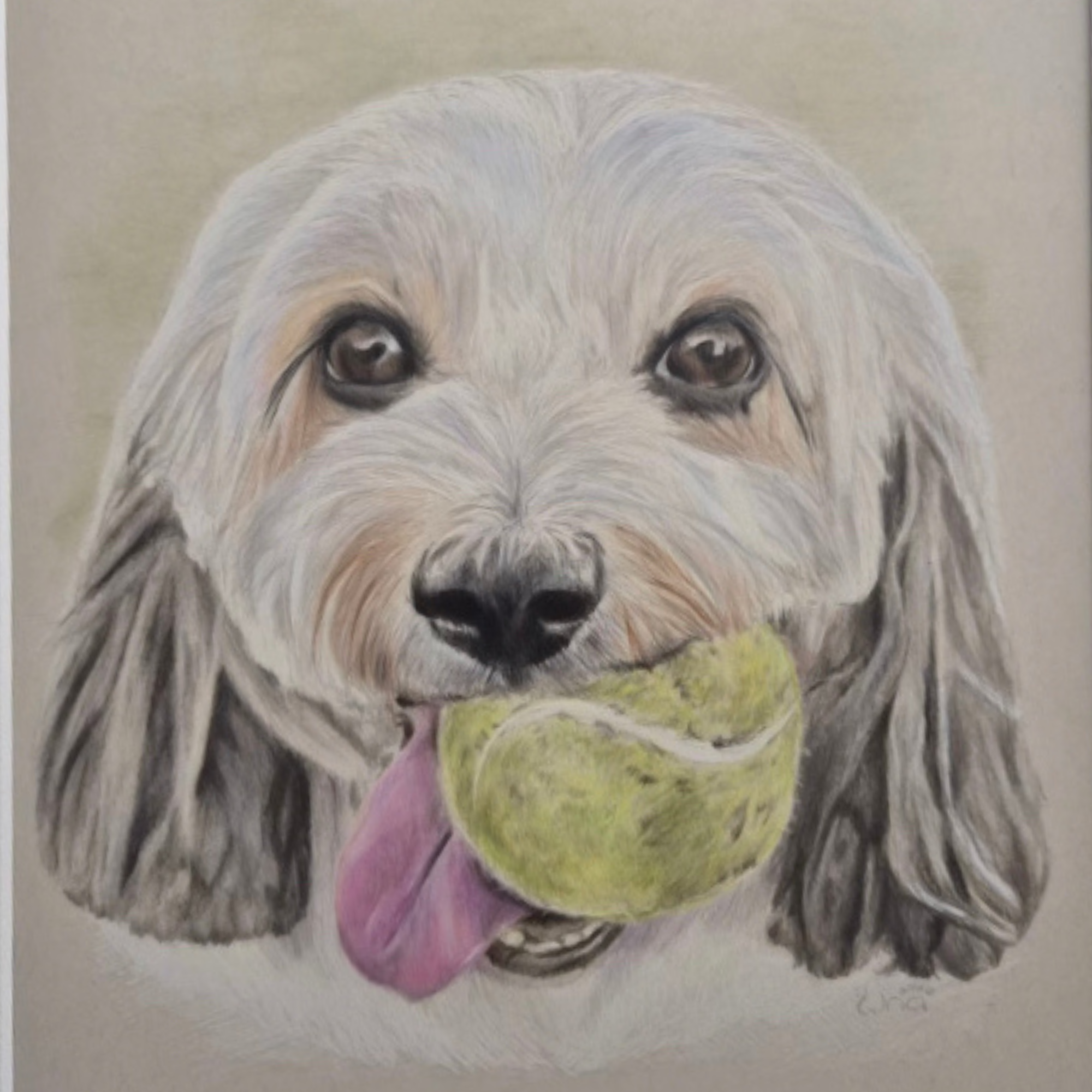 A realistic painting of a fluffy dog with big brown eyes, light-colored fur, and a pink tongue sticking out, holding a yellow and green tennis ball in its mouth.
