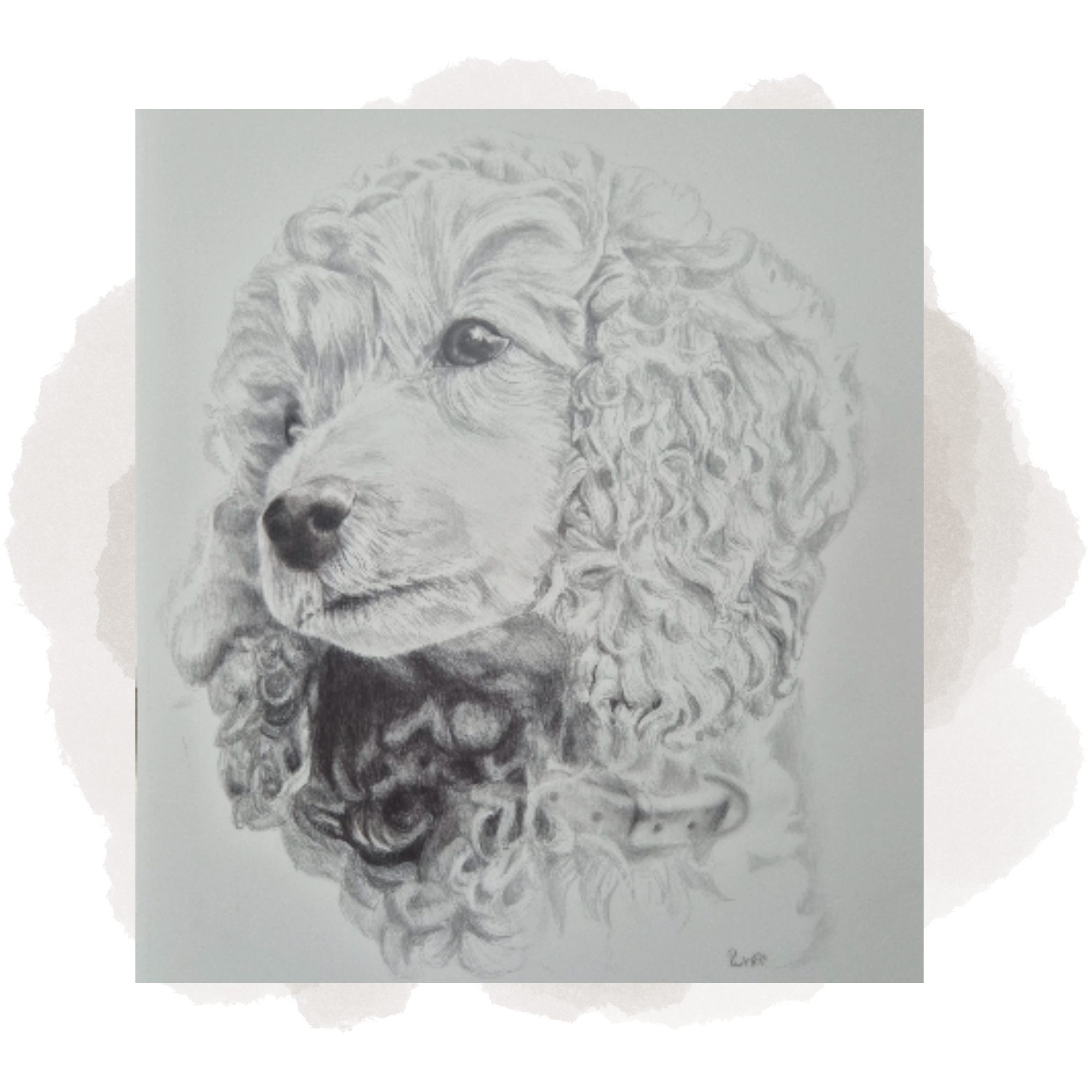 A detailed pencil sketch of a fluffy dog with curly fur, depicting the dog's face and upper body in a realistic style.