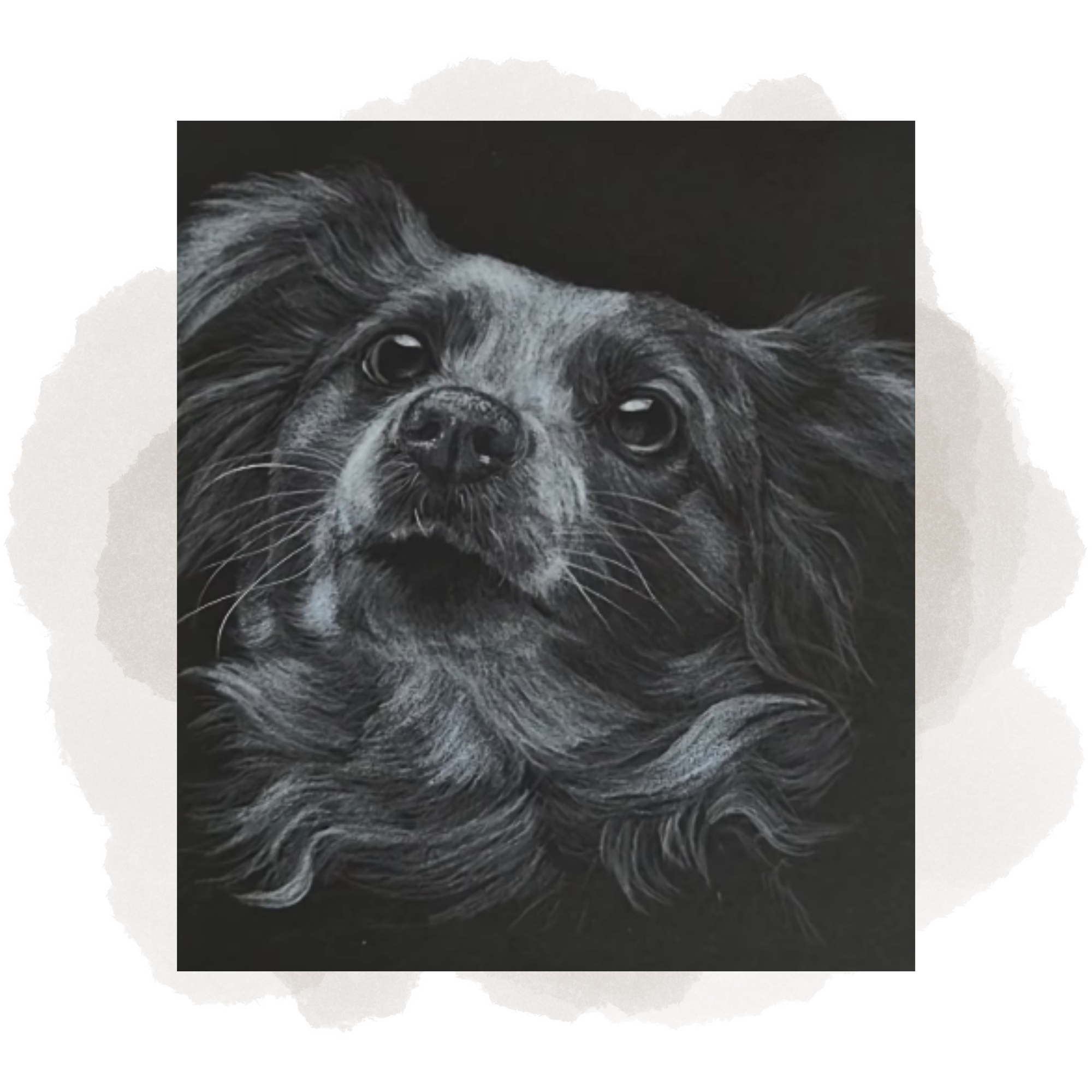 Close-up of a drawn portrait of a small dog with furrowed brows and expressive eyes, white pencil on black paper