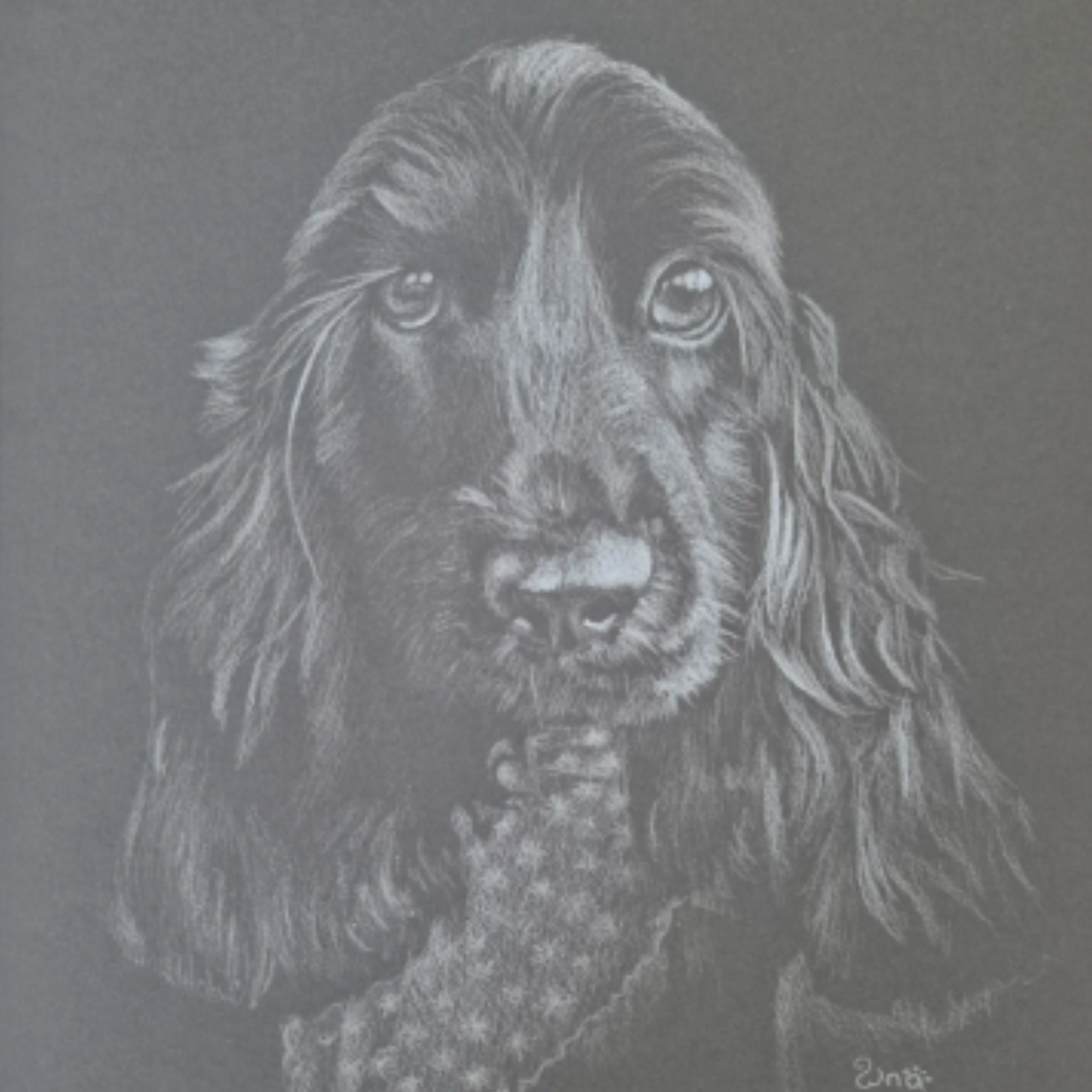 A drawing of a dog with long fur and large, expressive eyes on a dark background.