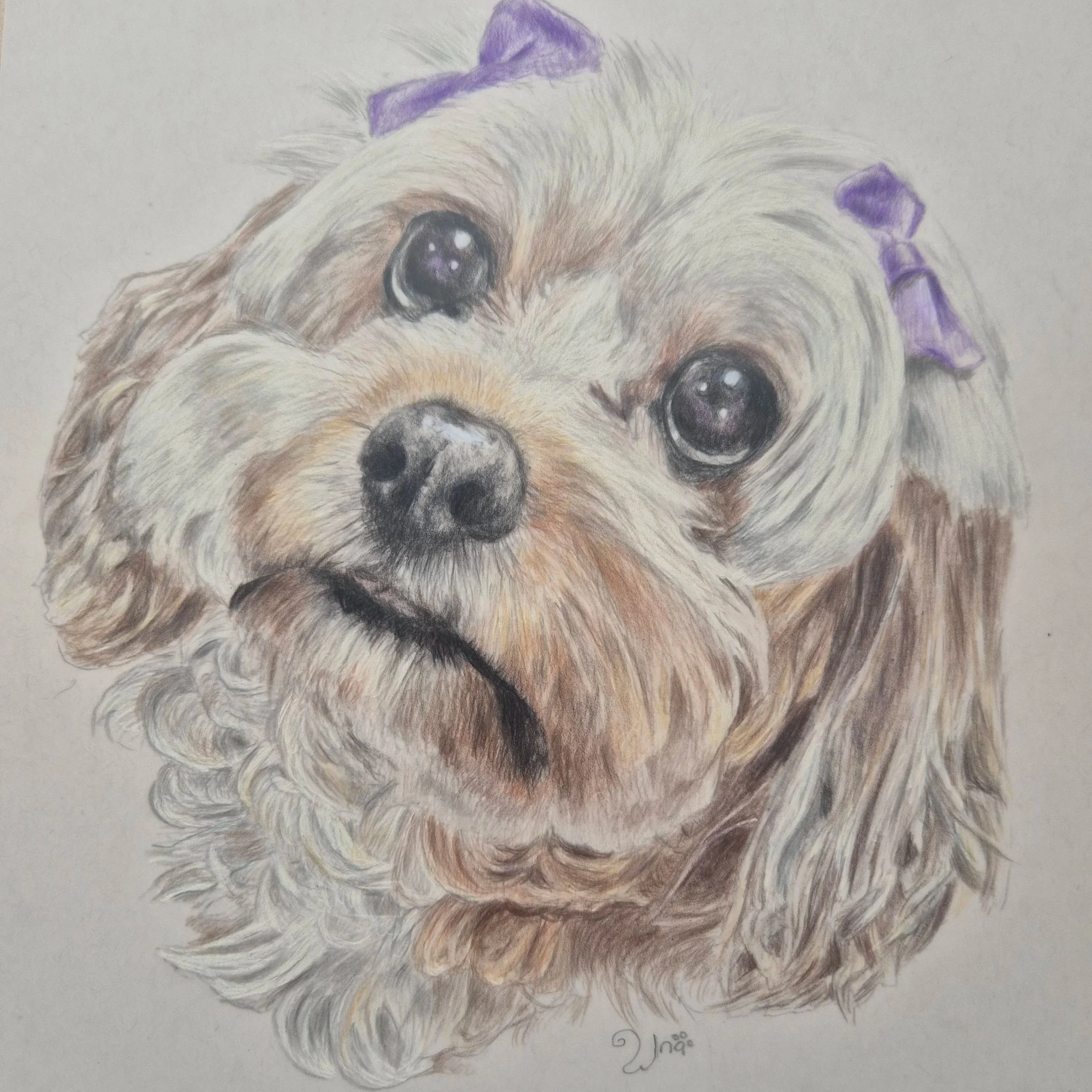 Lilly
