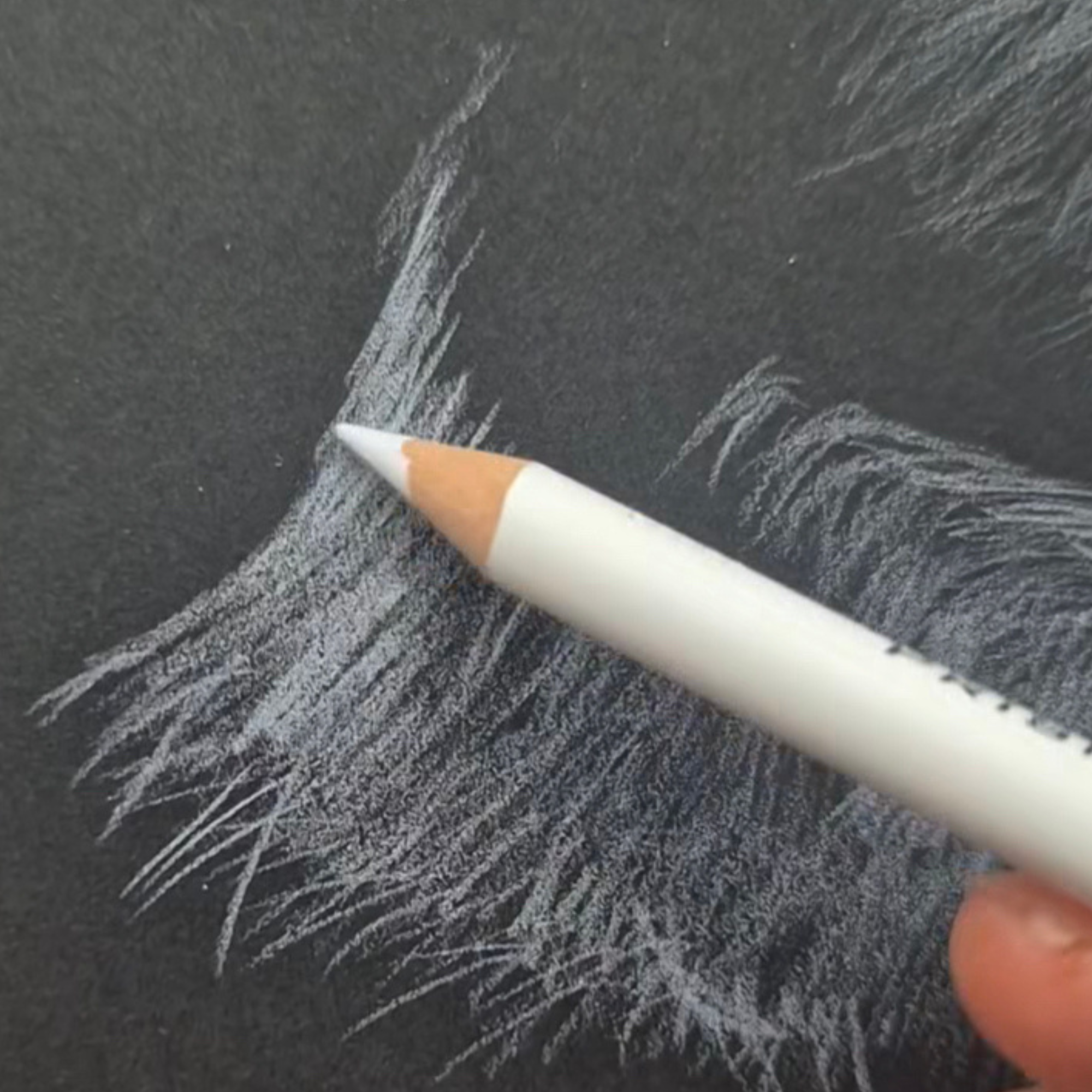 A hand holding a white pencil drawing white lines on black paper.