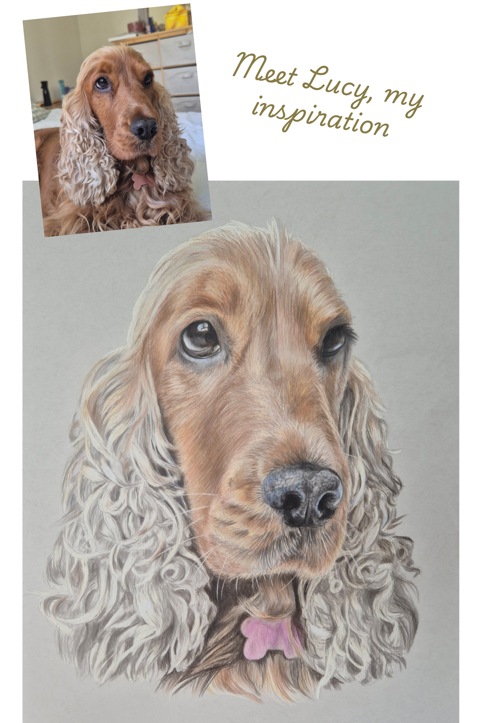A realistic painting of a golden cocker spaniel dog with long, curly ears and a pink collar with a pink bone-shaped tag, set against a gray background. A photo of the same dog is attached in the top left corner of the painting.