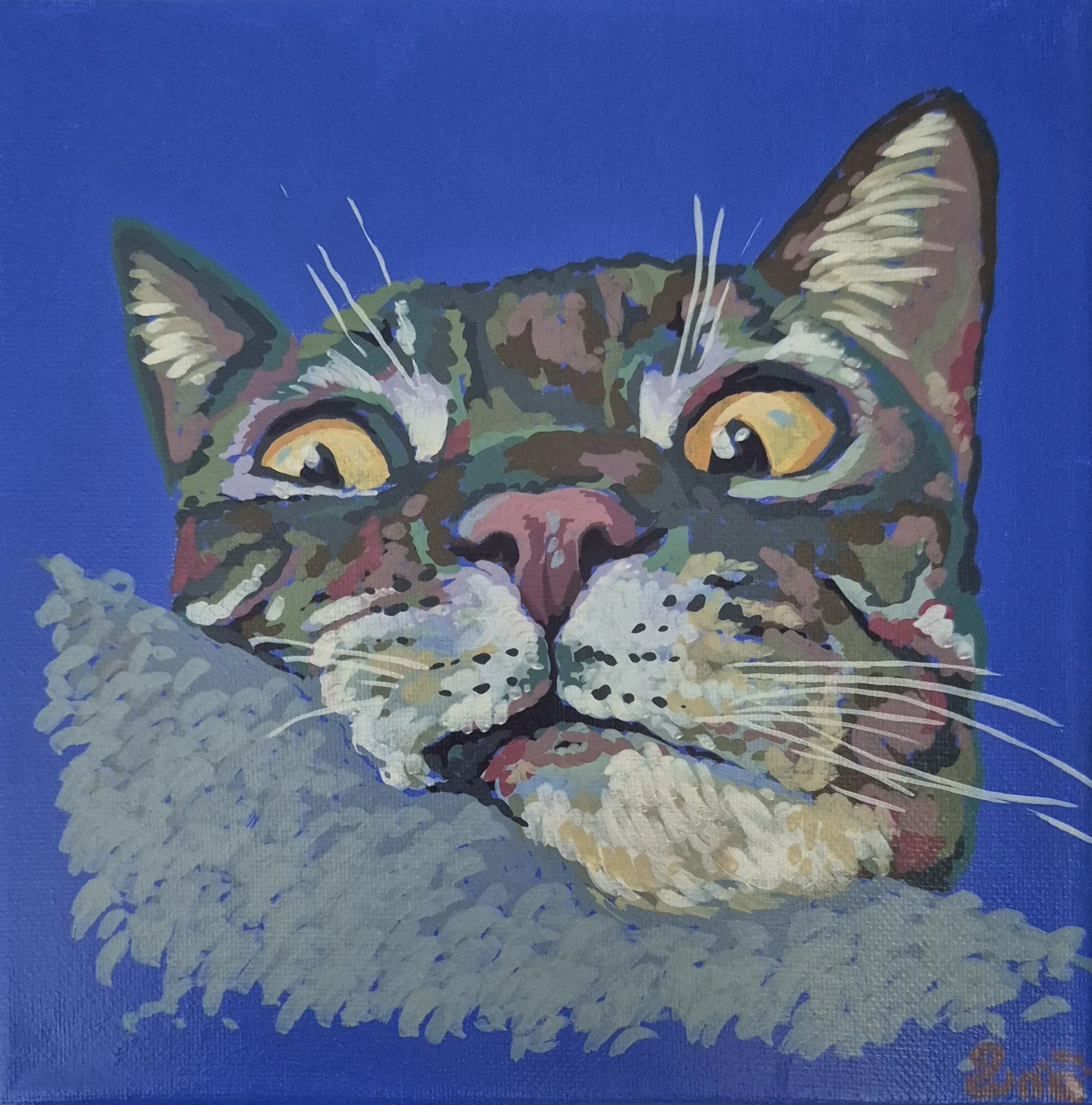 Purrplexed | Original Art